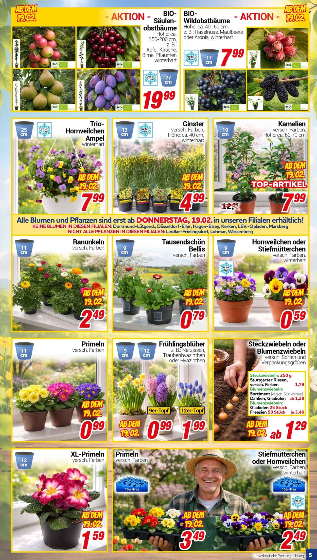 CENTERSHOP Prospekte  - 16.02.2026 - 21.02.2026. Seite 5