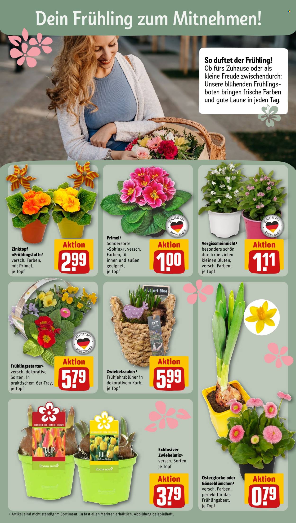 REWE Prospekte  - 16.02.2026 - 22.02.2026. Seite 8
