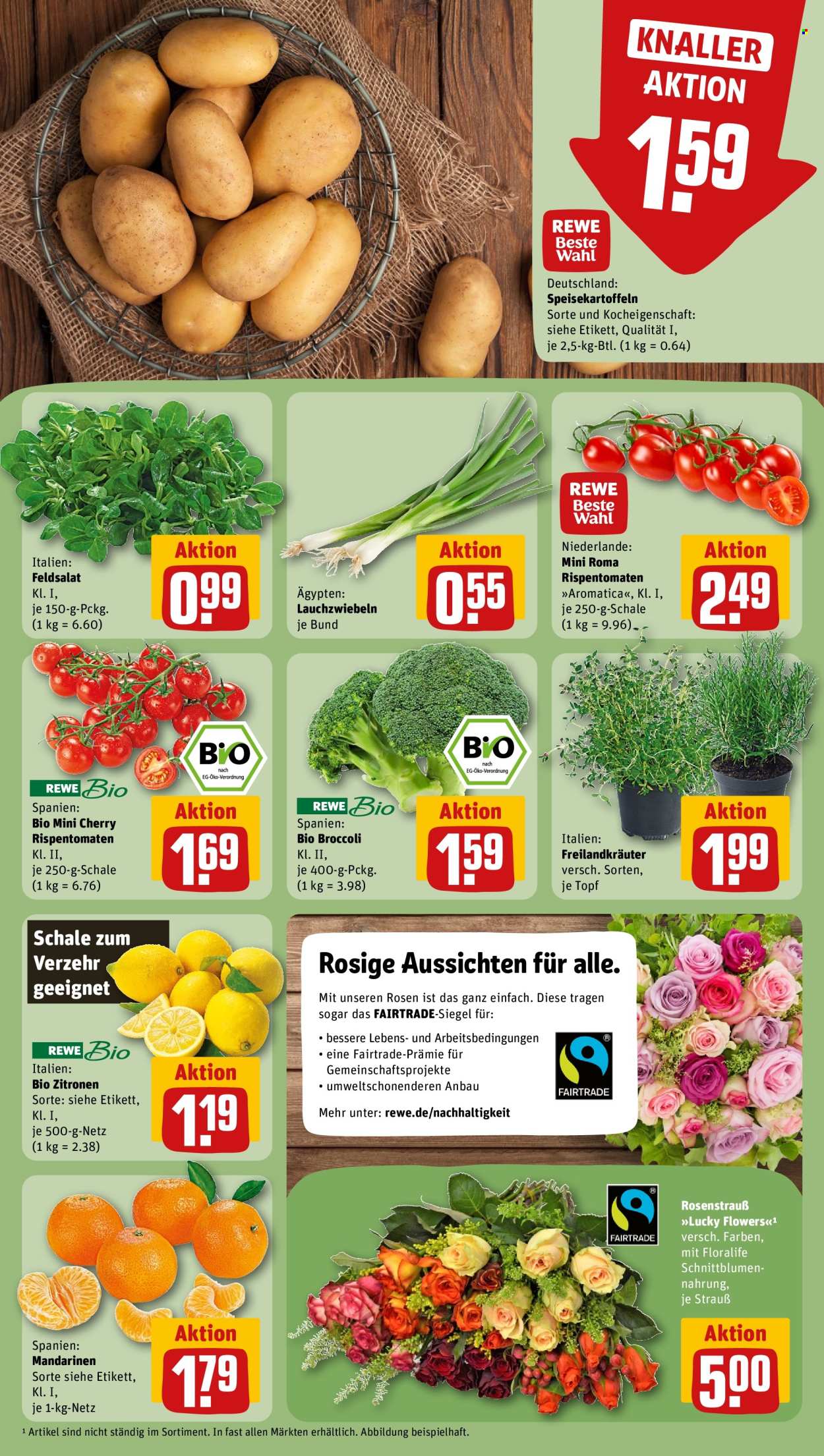 REWE Prospekte  - 16.02.2026 - 22.02.2026. Seite 11