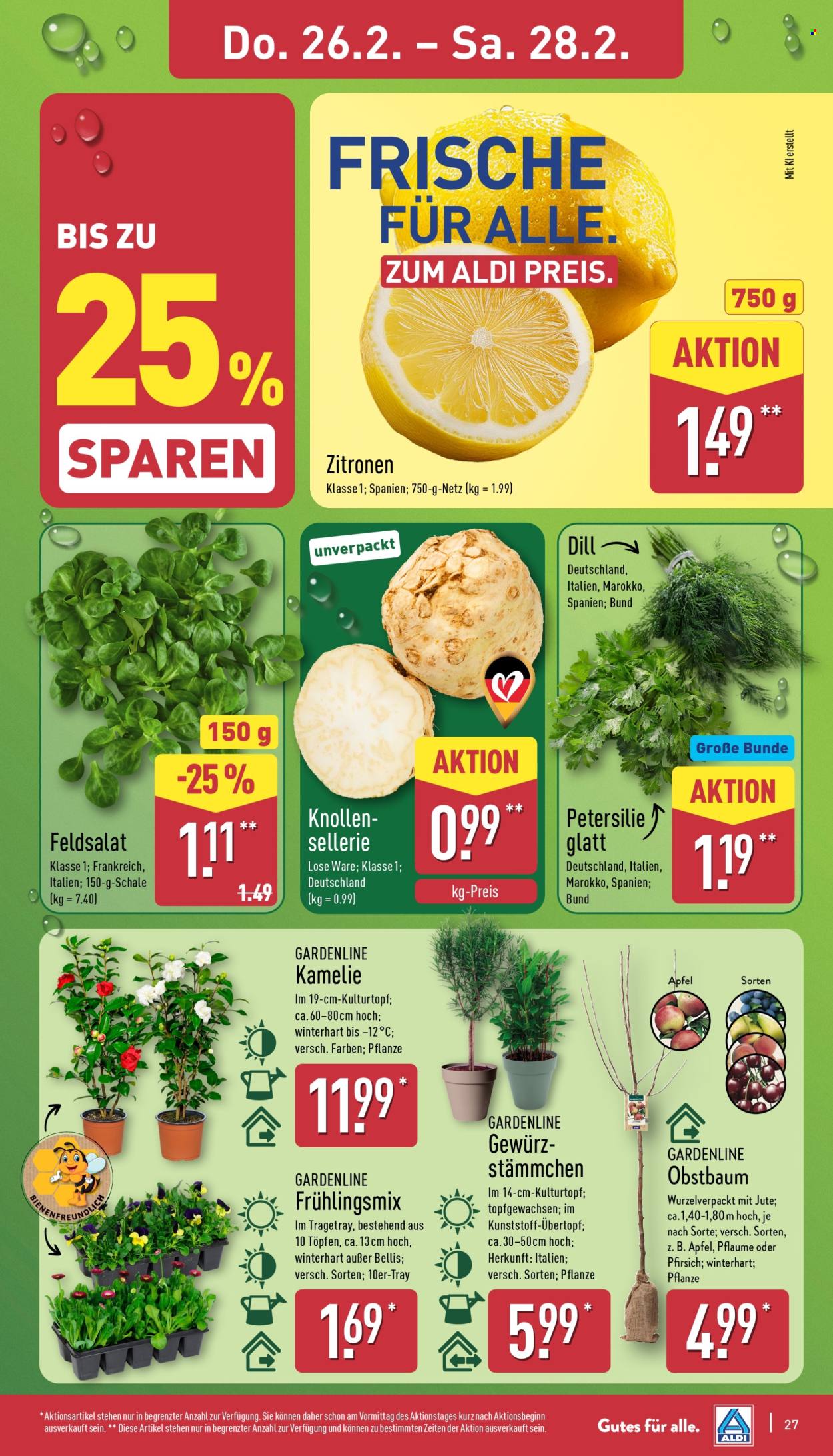 ALDI Nord Prospekte  - 23.02.2026 - 28.02.2026. Seite 30