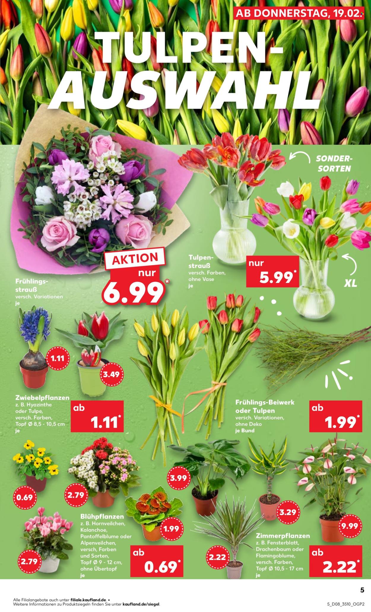Kaufland Prospekte  - 19.02.2026 - 25.02.2026. Seite 5