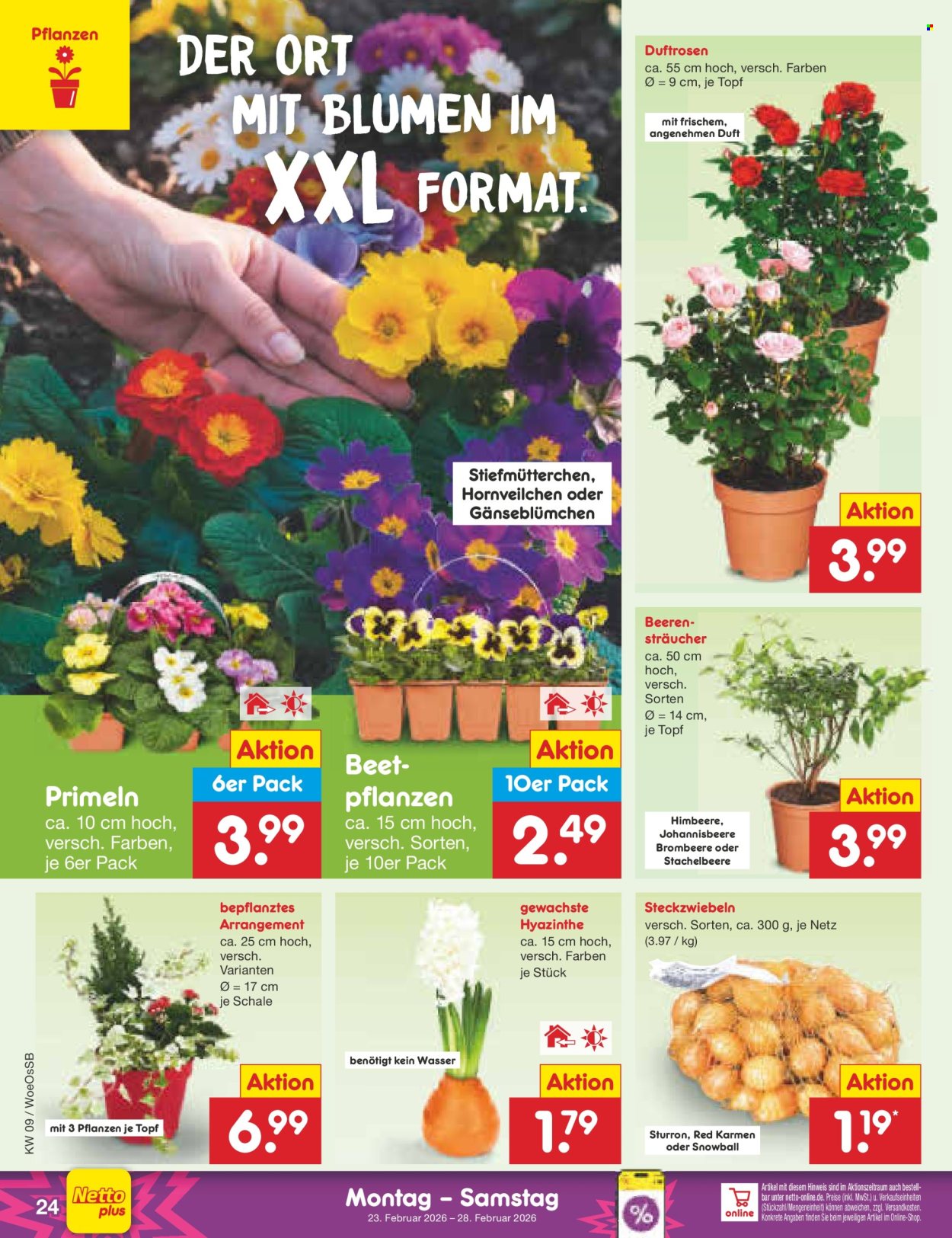 Netto Marken-Discount Prospekte  - 23.02.2026 - 28.02.2026. Seite 36