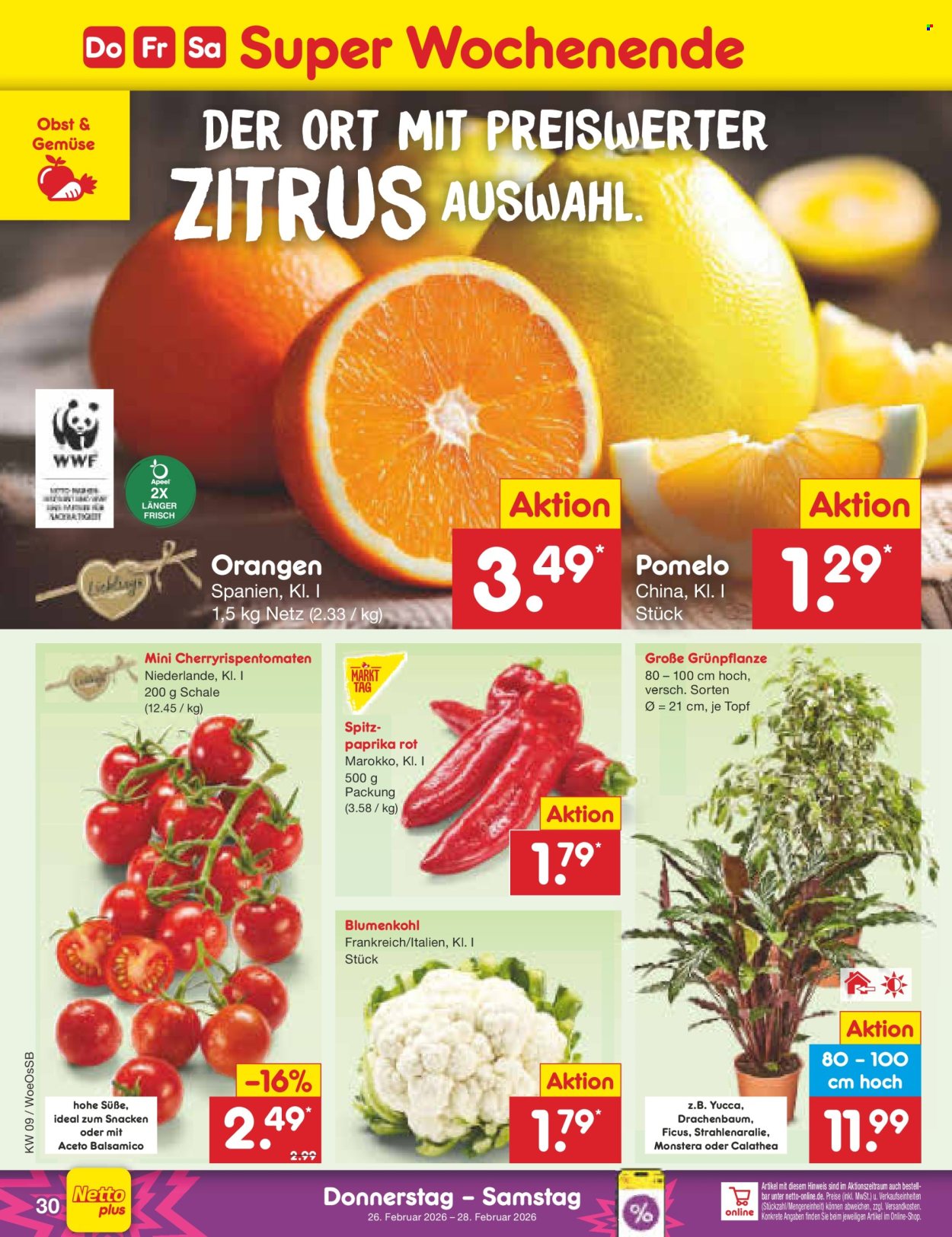Netto Marken-Discount Prospekte  - 23.02.2026 - 28.02.2026. Seite 48