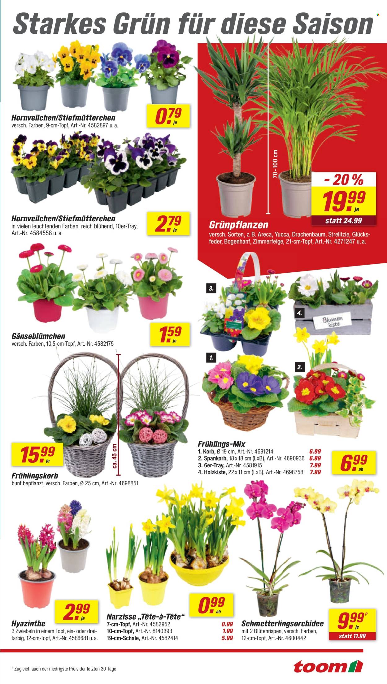 toom Baumarkt Prospekte  - 21.02.2026 - 27.02.2026. Seite 3
