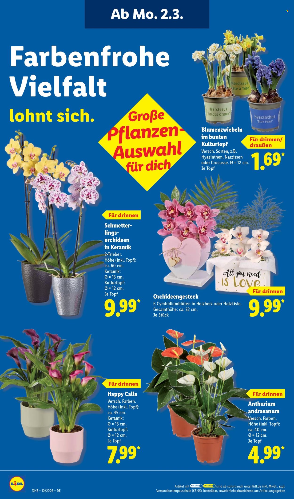 Lidl Prospekte  - 2.03.2026 - 7.03.2026. Seite 20