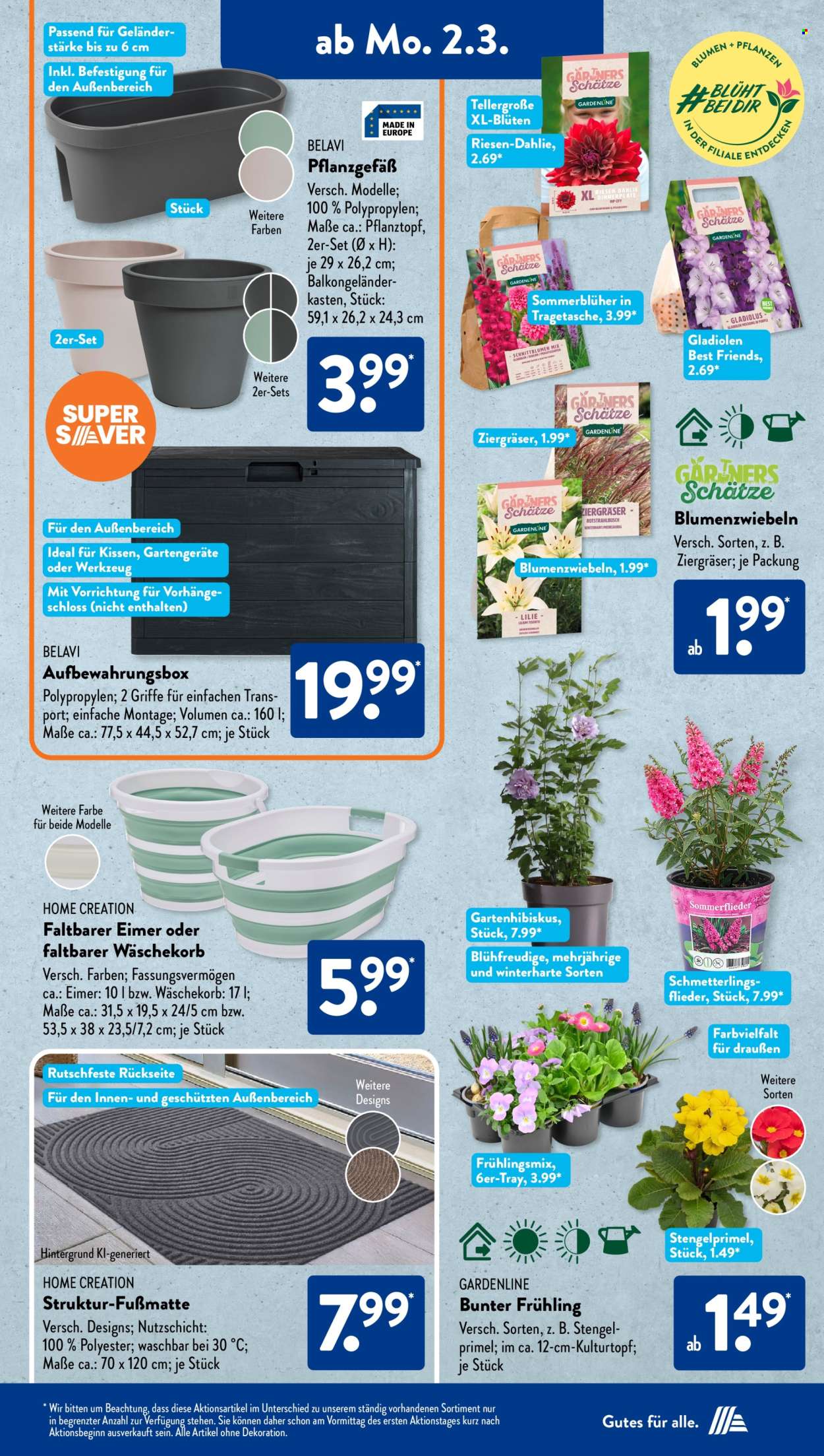 ALDI SÜD Prospekte  - 2.03.2026 - 7.03.2026. Seite 13