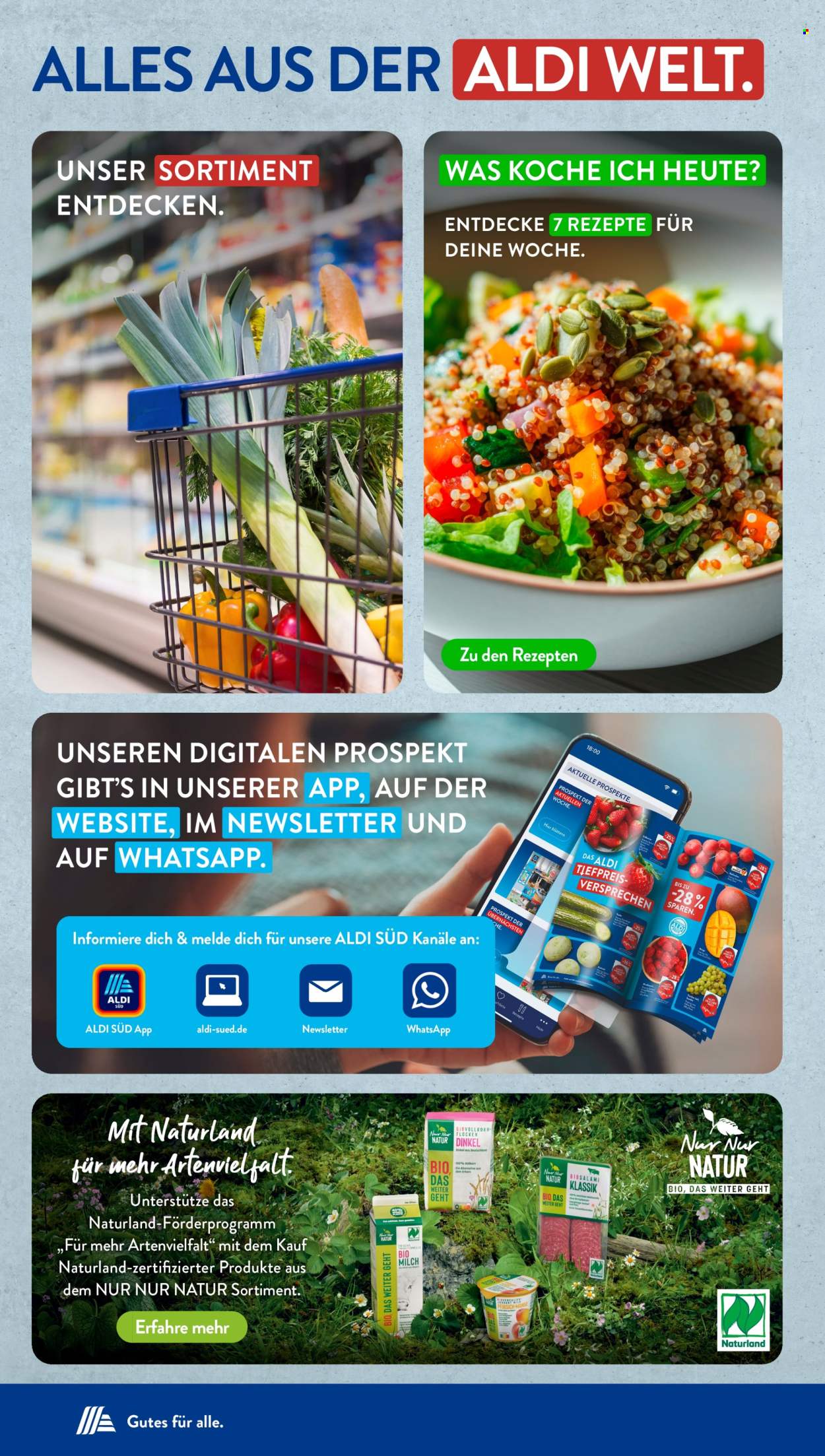 ALDI SÜD Prospekte  - 23.02.2026 - 23.02.2026. Seite 24