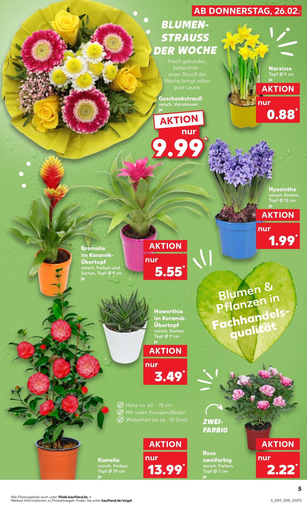 Kaufland Prospekte  - 26.02.2026 - 4.03.2026. Seite 5