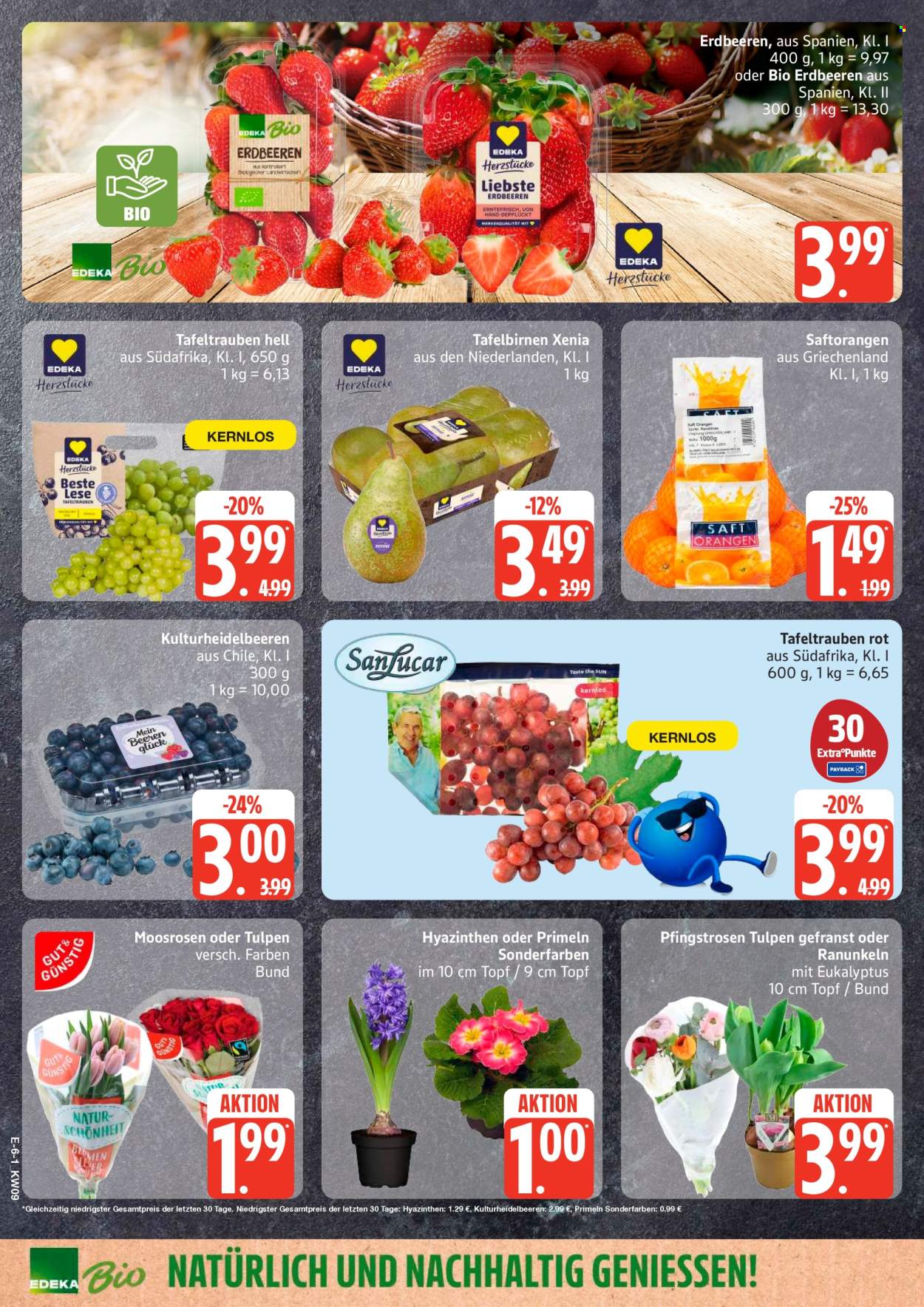 Marktkauf Prospekte  - 23.02.2026 - 28.02.2026. Seite 8