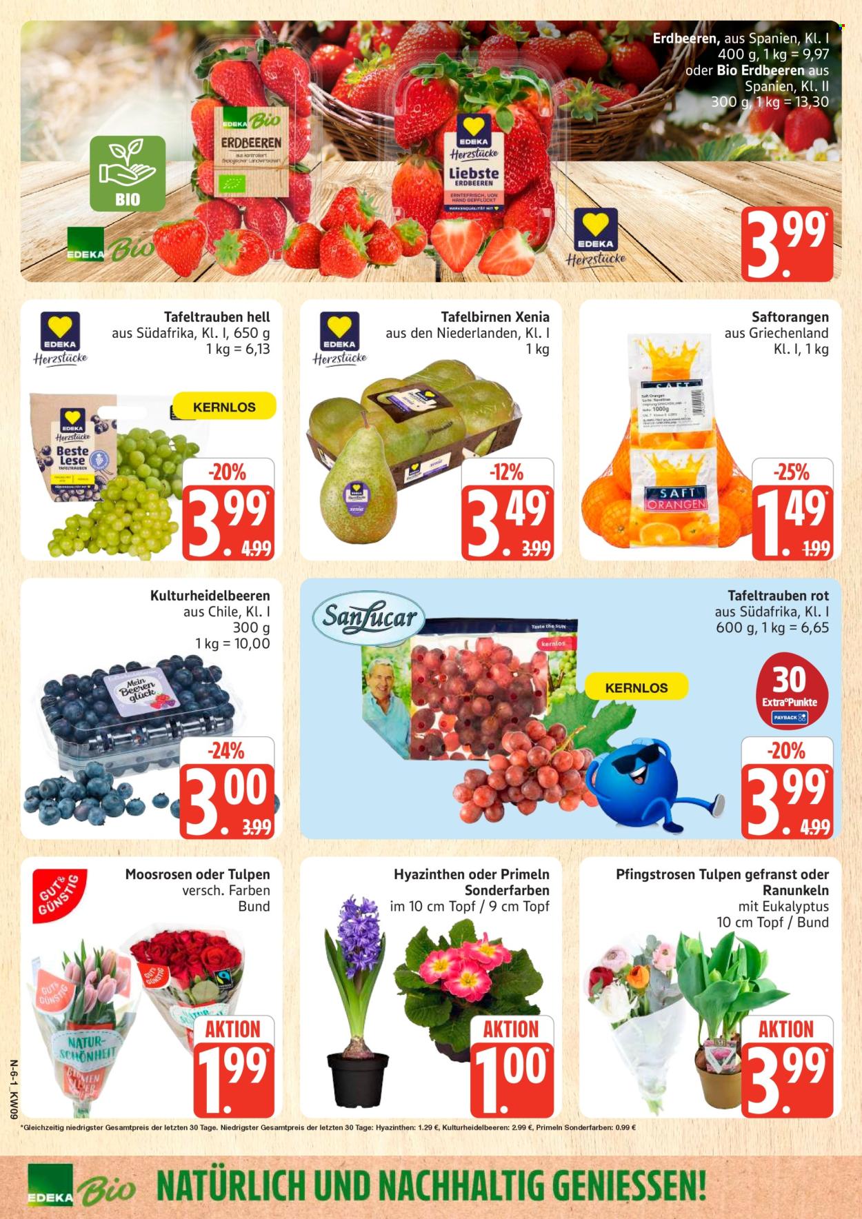 Marktkauf Prospekte  - 23.02.2026 - 28.02.2026. Seite 6