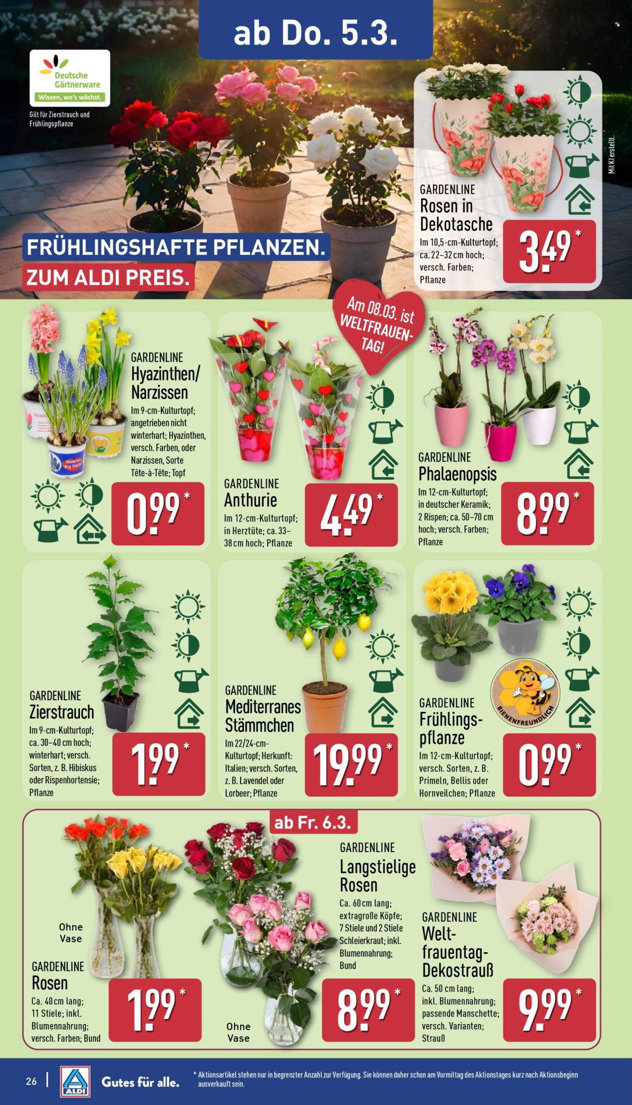 ALDI Nord Prospekte  - 2.03.2026 - 7.03.2026. Seite 27