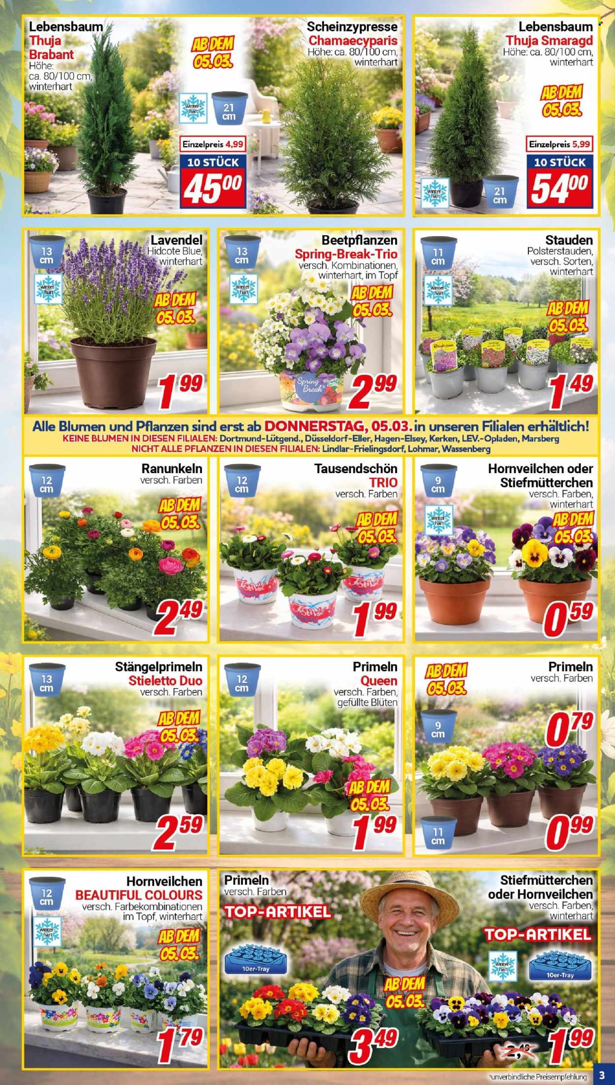 CENTERSHOP Prospekte  - 2.03.2026 - 7.03.2026. Seite 3