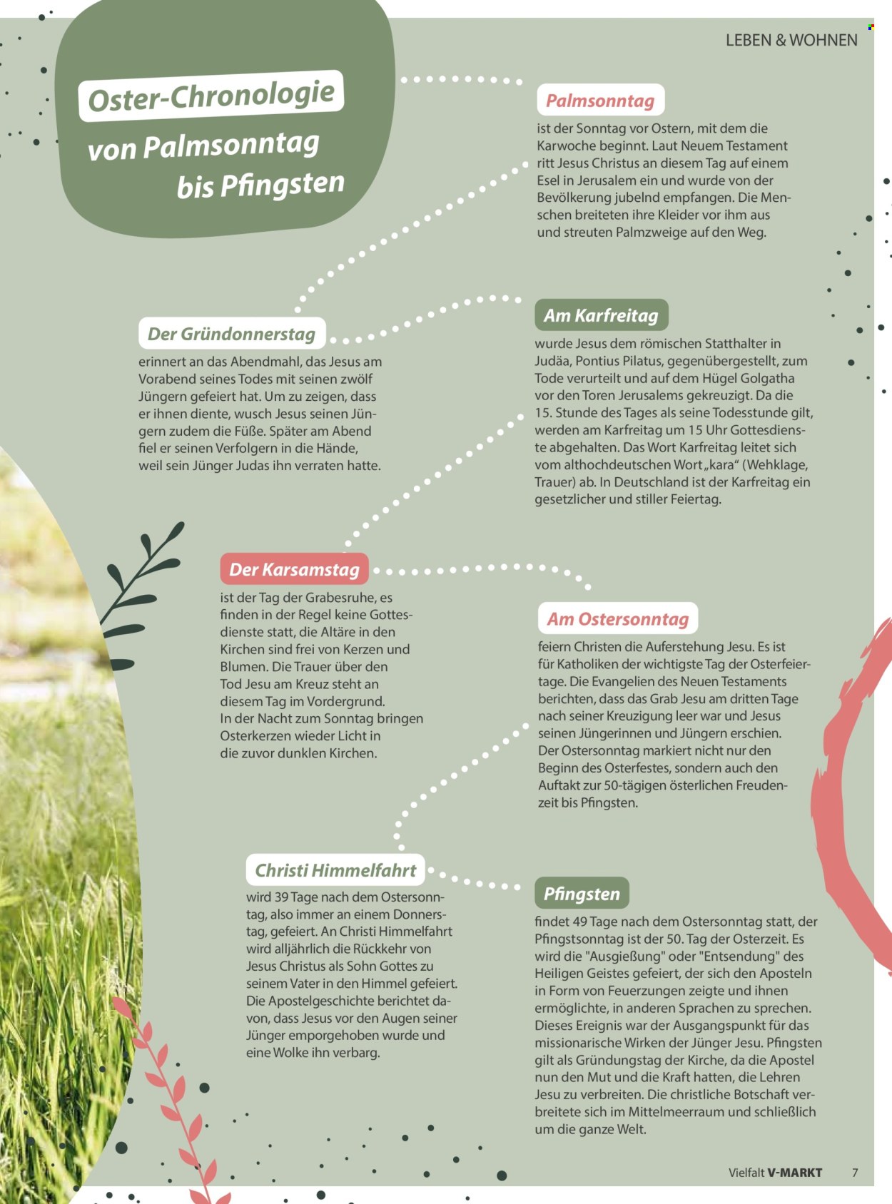 V-Markt Prospekte  - 1.03.2026 - 30.04.2026. Seite 7