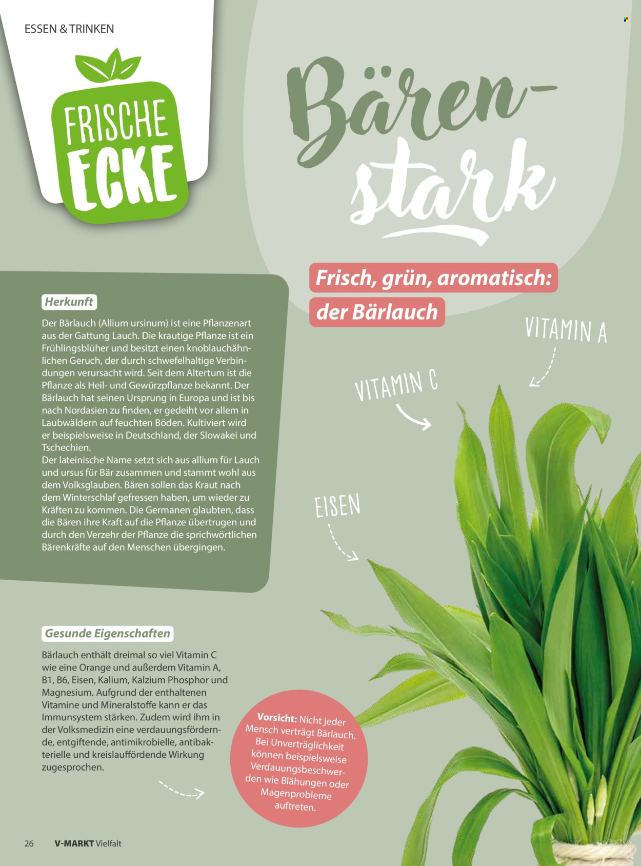 V-Markt Prospekte  - 1.03.2026 - 30.04.2026. Seite 26
