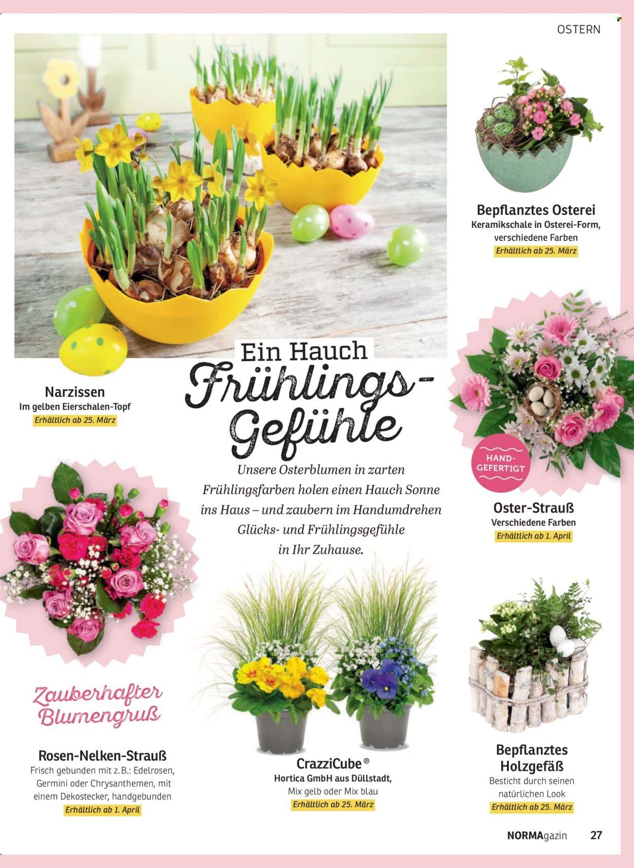 Norma Prospekte  - 1.03.2026 - 30.04.2026. Seite 27