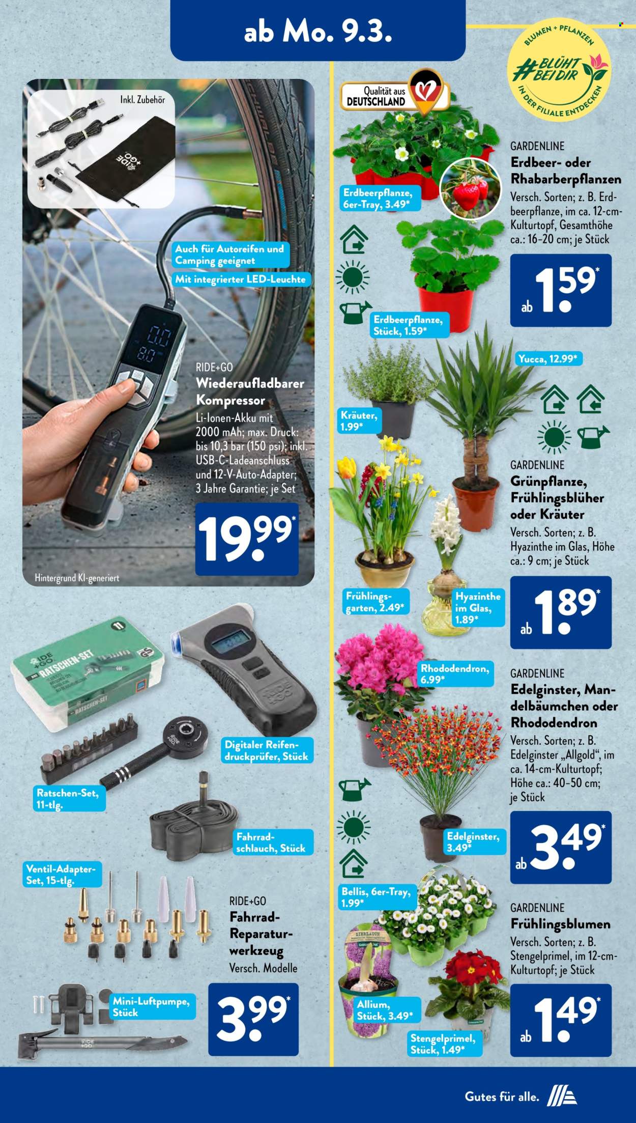 ALDI SÜD Prospekte  - 9.03.2026 - 14.03.2026. Seite 13