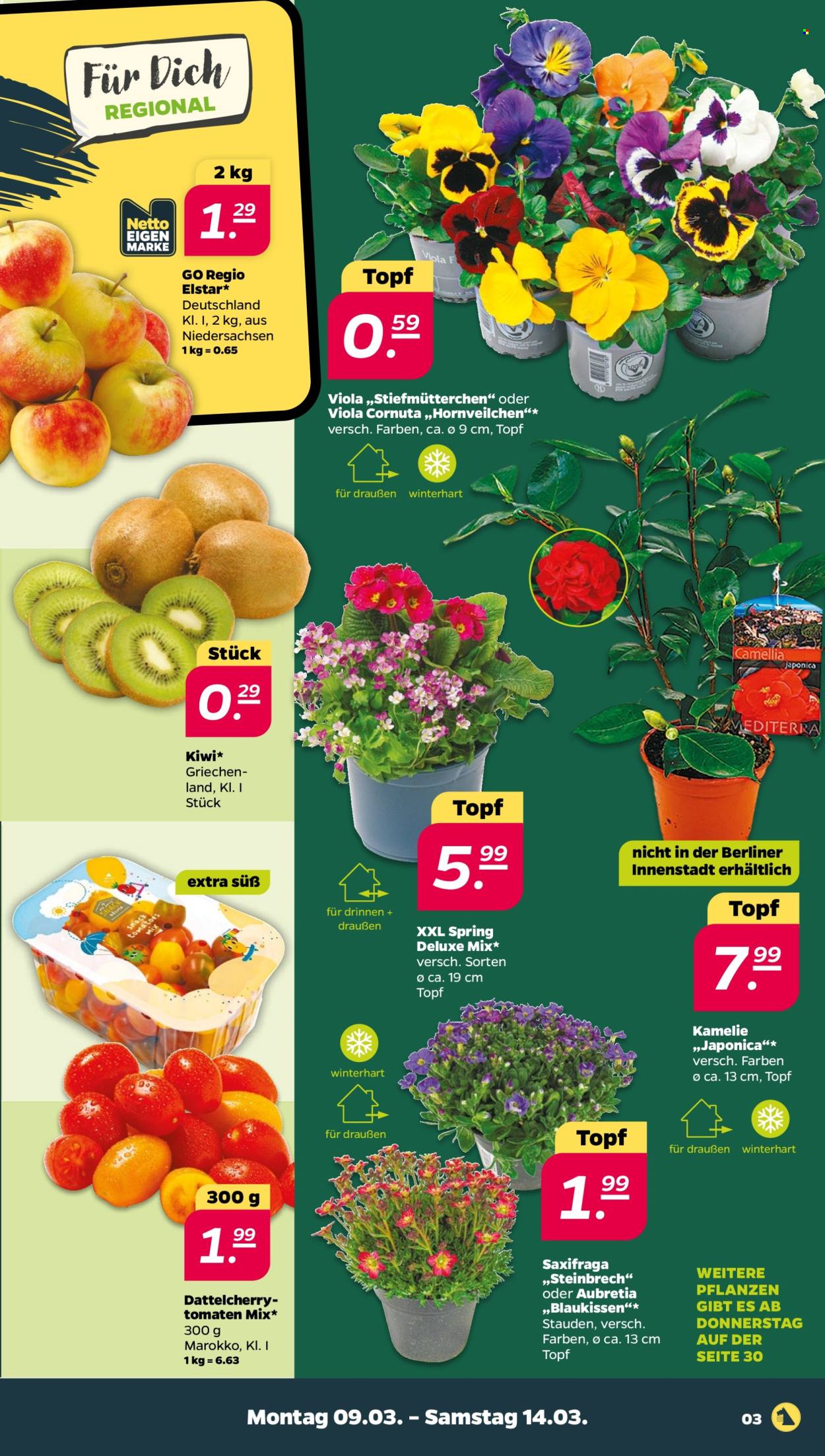 Netto Prospekte  - 9.03.2026 - 14.03.2026. Seite 3