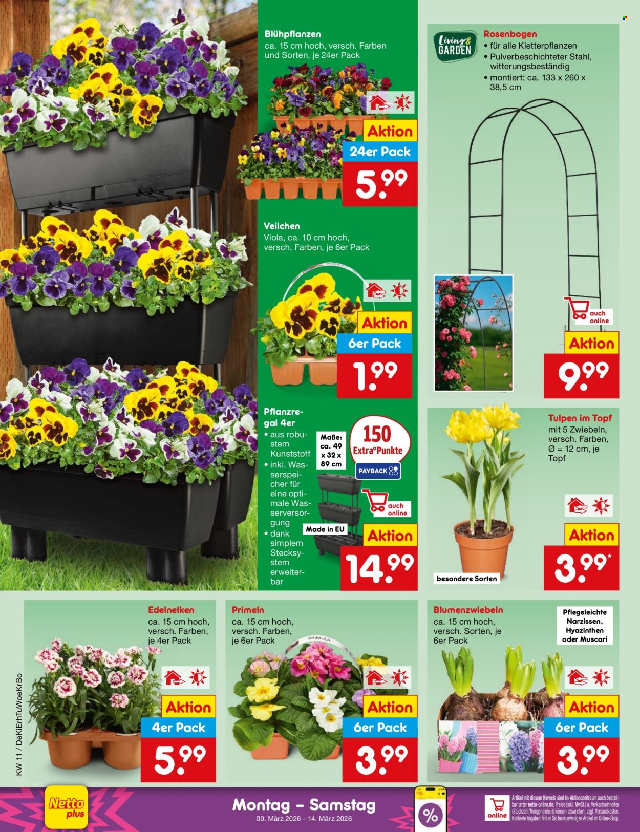 Netto Marken-Discount Prospekte  - 9.03.2026 - 14.03.2026. Seite 34