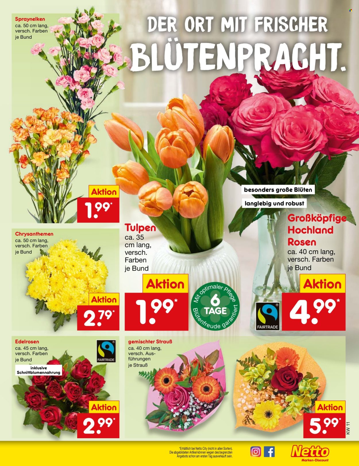 Netto Marken-Discount Prospekte  - 9.03.2026 - 14.03.2026. Seite 55