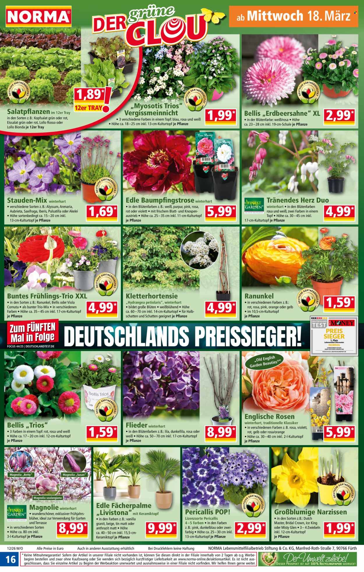 Norma Prospekte  - 16.03.2026 - 22.03.2026. Seite 16