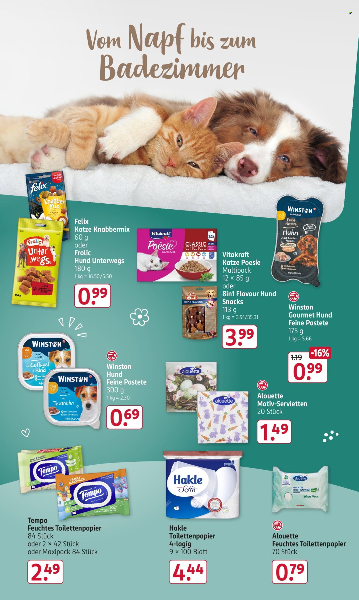Rossmann Prospekte  - 9.03.2026 - 13.03.2026. Seite 16