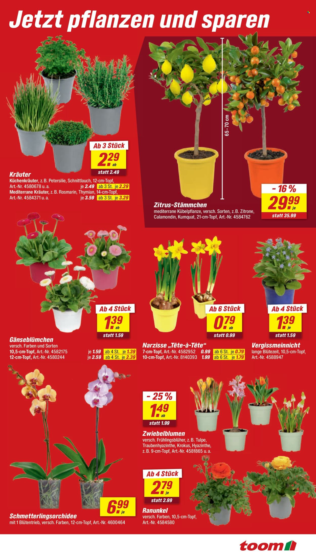toom Baumarkt Prospekte  - 7.03.2026 - 13.03.2026. Seite 3