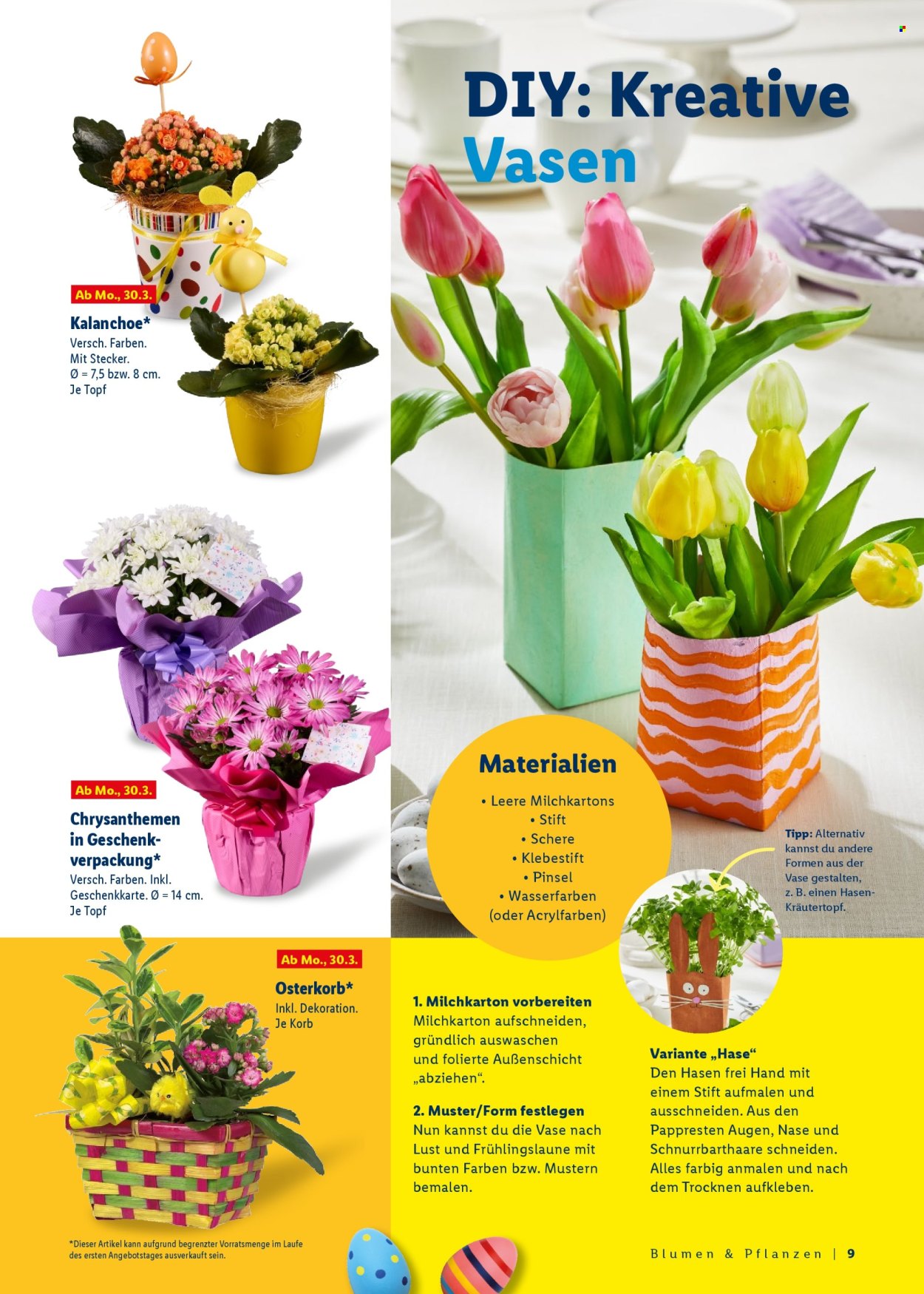 Lidl Prospekte  - 9.03.2026 - 6.04.2026. Seite 9
