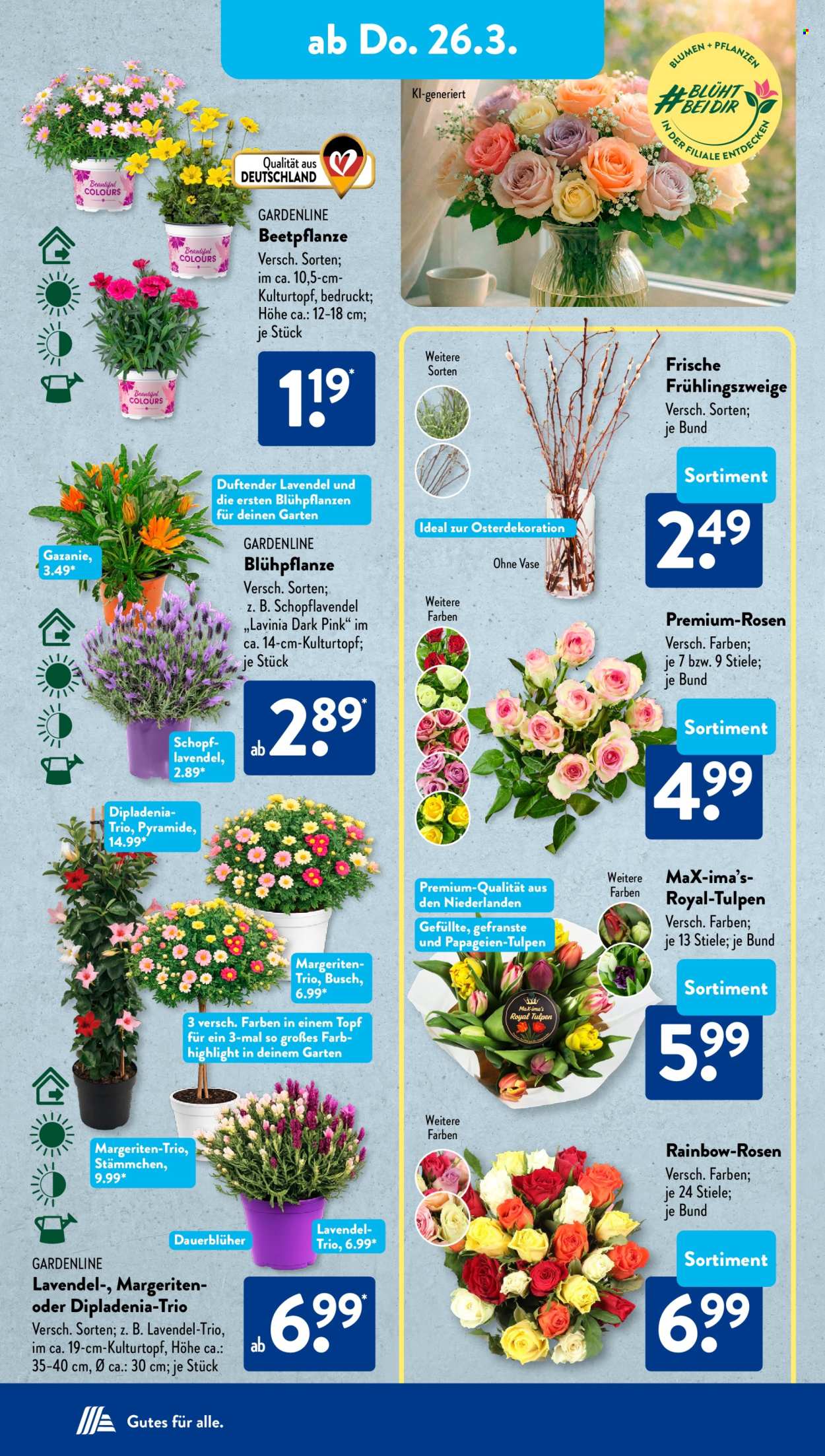 ALDI SÜD Prospekte  - 9.03.2026 - 9.03.2026. Seite 11