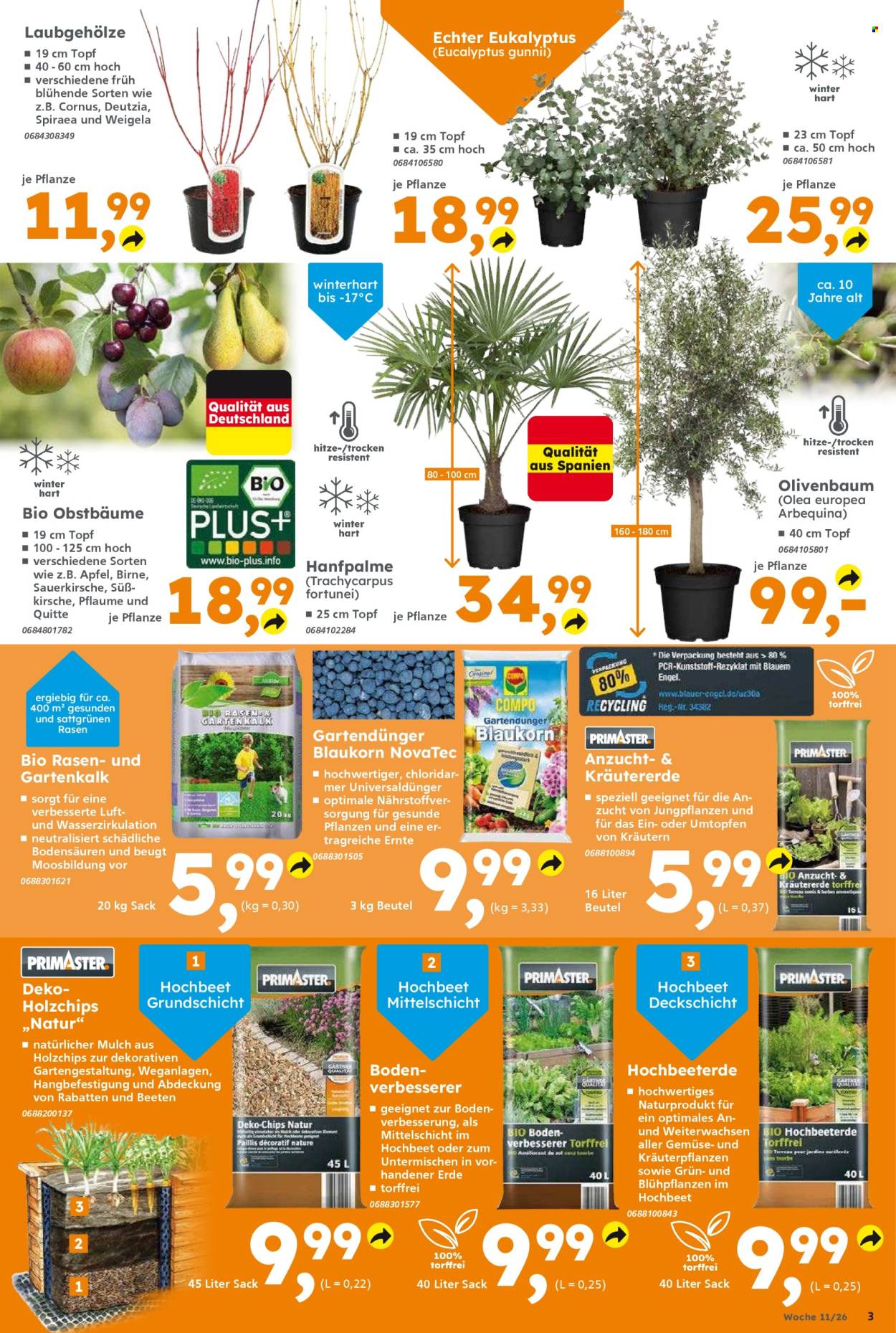 Globus Baumarkt Prospekte  - 9.03.2026 - 14.03.2026. Seite 3