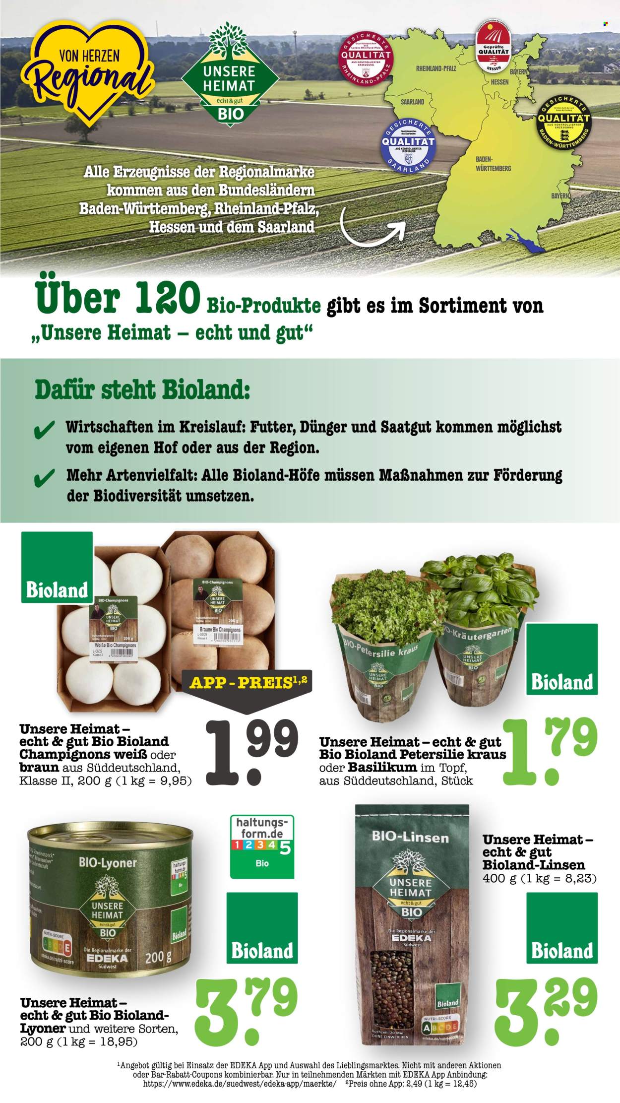 Scheck-in Prospekte  - 9.03.2026 - 14.03.2026. Seite 29
