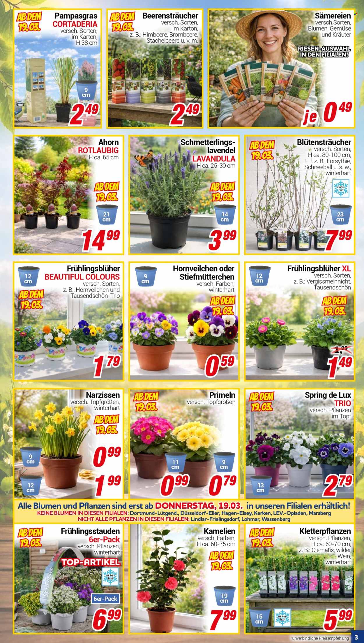 CENTERSHOP Prospekte  - 16.03.2026 - 21.03.2026. Seite 3