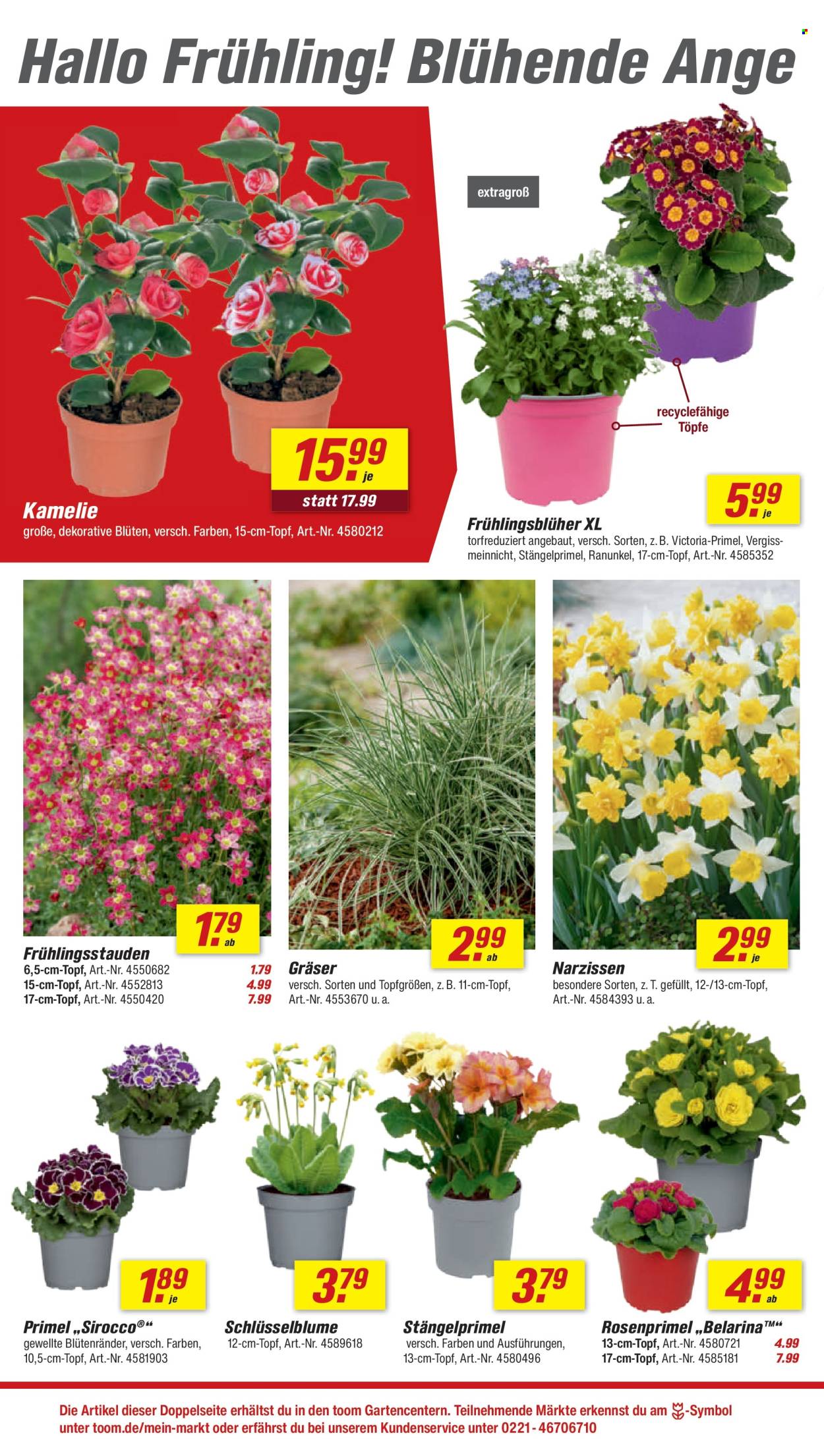 toom Baumarkt Prospekte  - 14.03.2026 - 20.03.2026. Seite 6