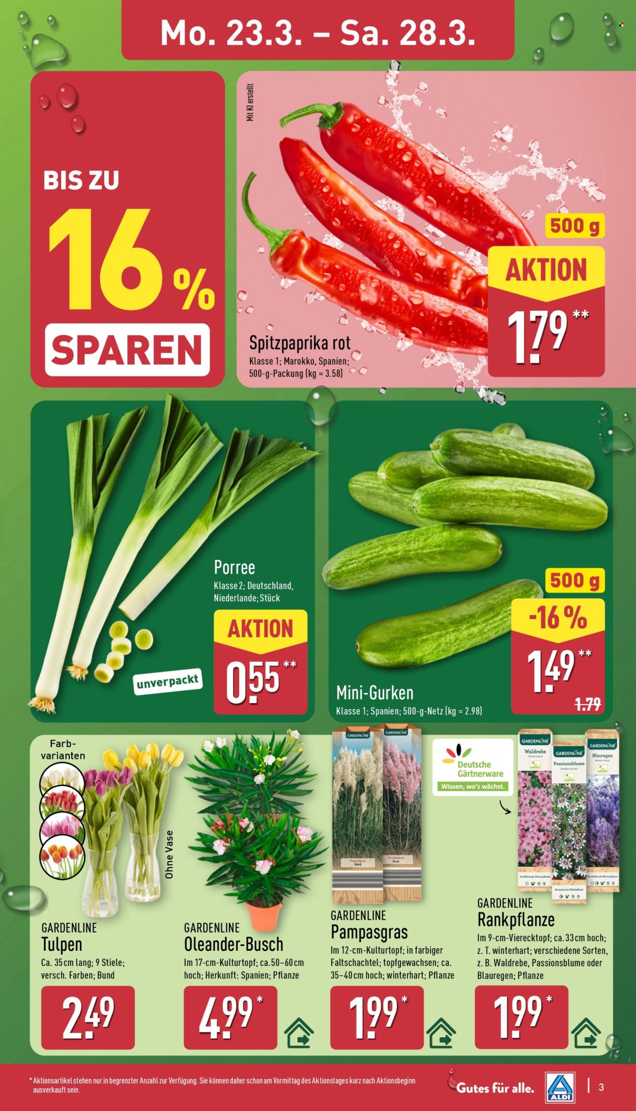 ALDI Nord Prospekte  - 23.03.2026 - 28.03.2026. Seite 7