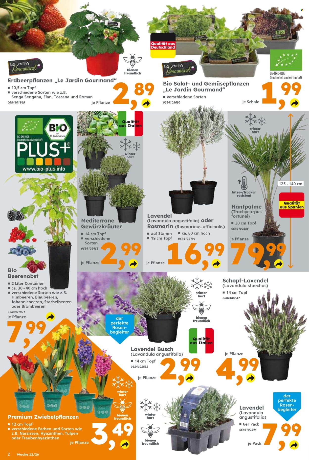 Globus Baumarkt Prospekte  - 16.03.2026 - 21.03.2026. Seite 2