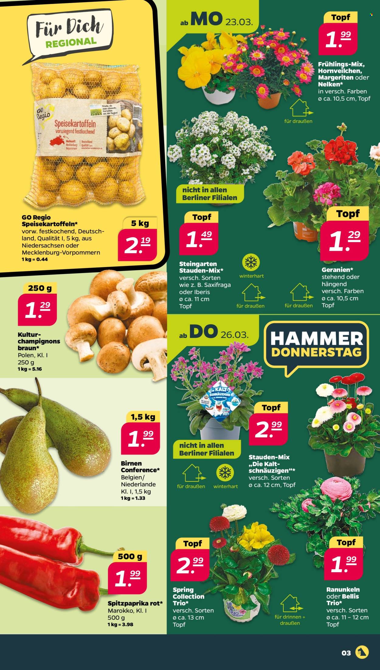 Netto Prospekte  - 23.03.2026 - 28.03.2026. Seite 3