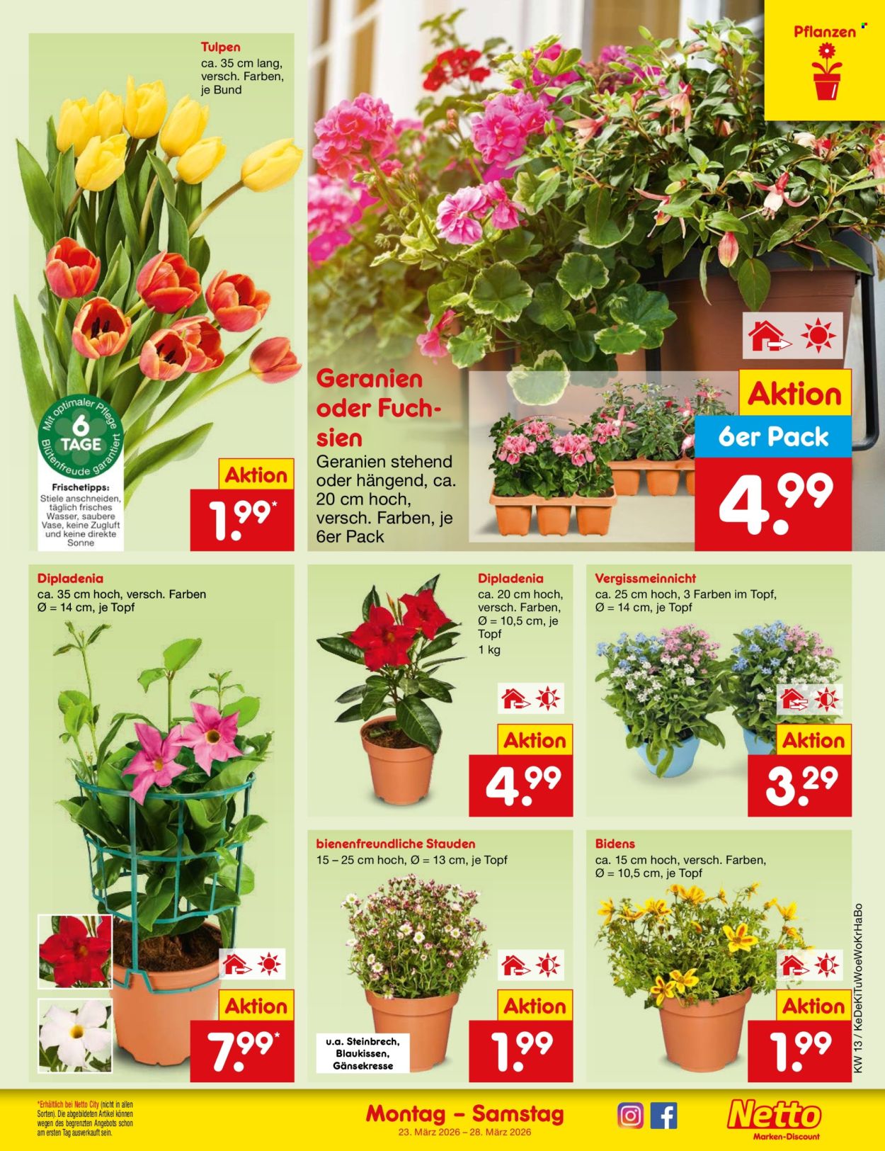 Netto Marken-Discount Prospekte  - 23.03.2026 - 28.03.2026. Seite 7
