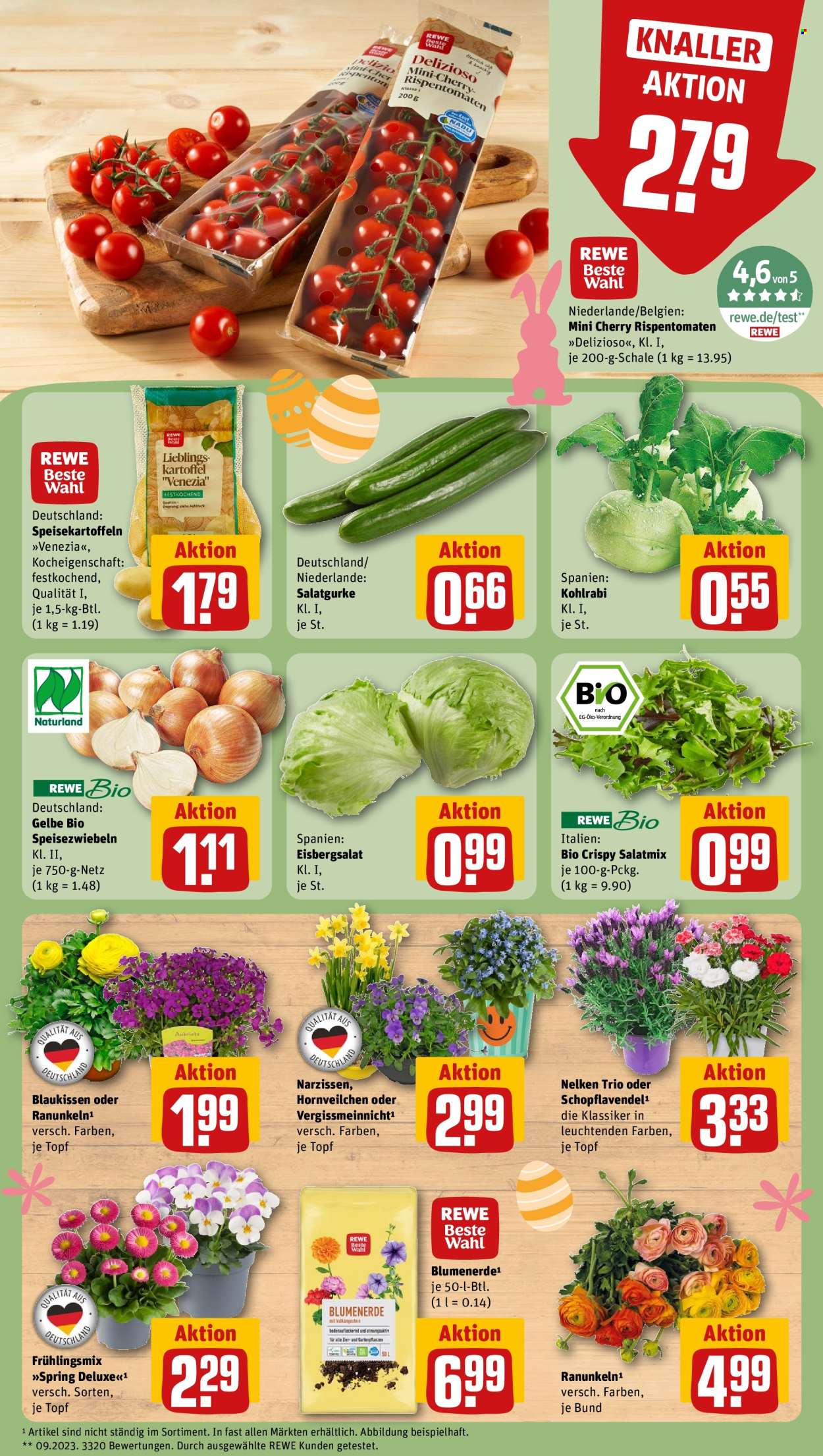 REWE Prospekte  - 23.03.2026 - 29.03.2026. Seite 9