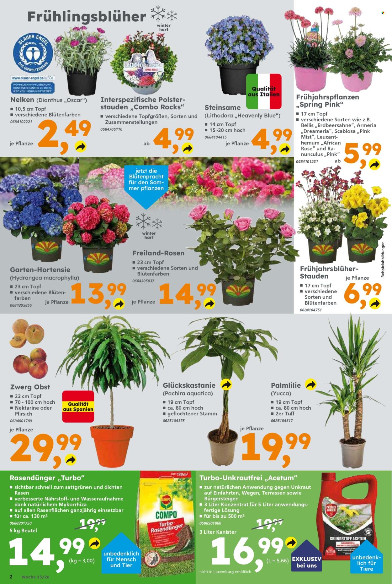 Globus Baumarkt Prospekte  - 23.03.2026 - 28.03.2026. Seite 2