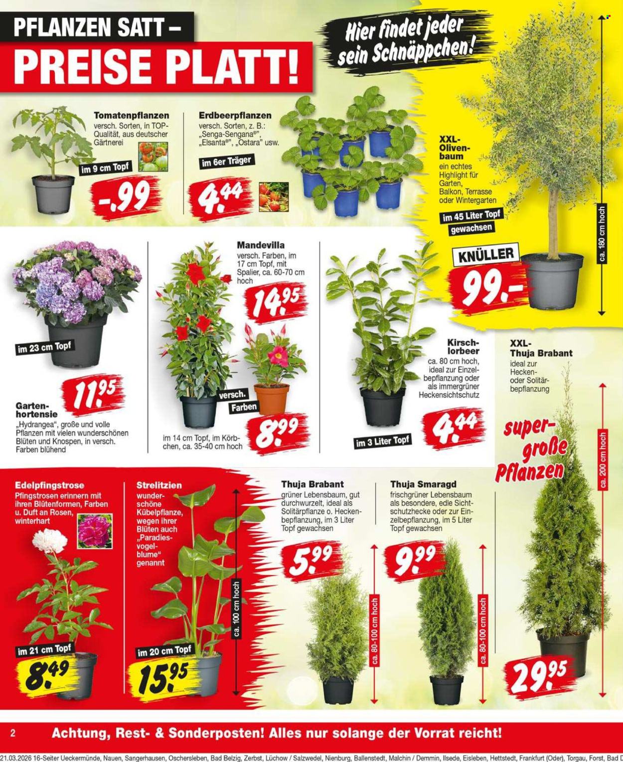 Repo Prospekte  - 23.03.2026 - 28.03.2026. Seite 2