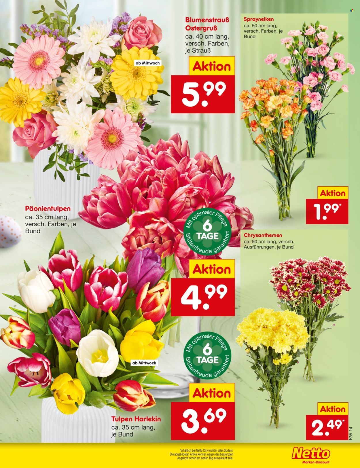 Netto Marken-Discount Prospekte  - 30.03.2026 - 4.04.2026. Seite 31