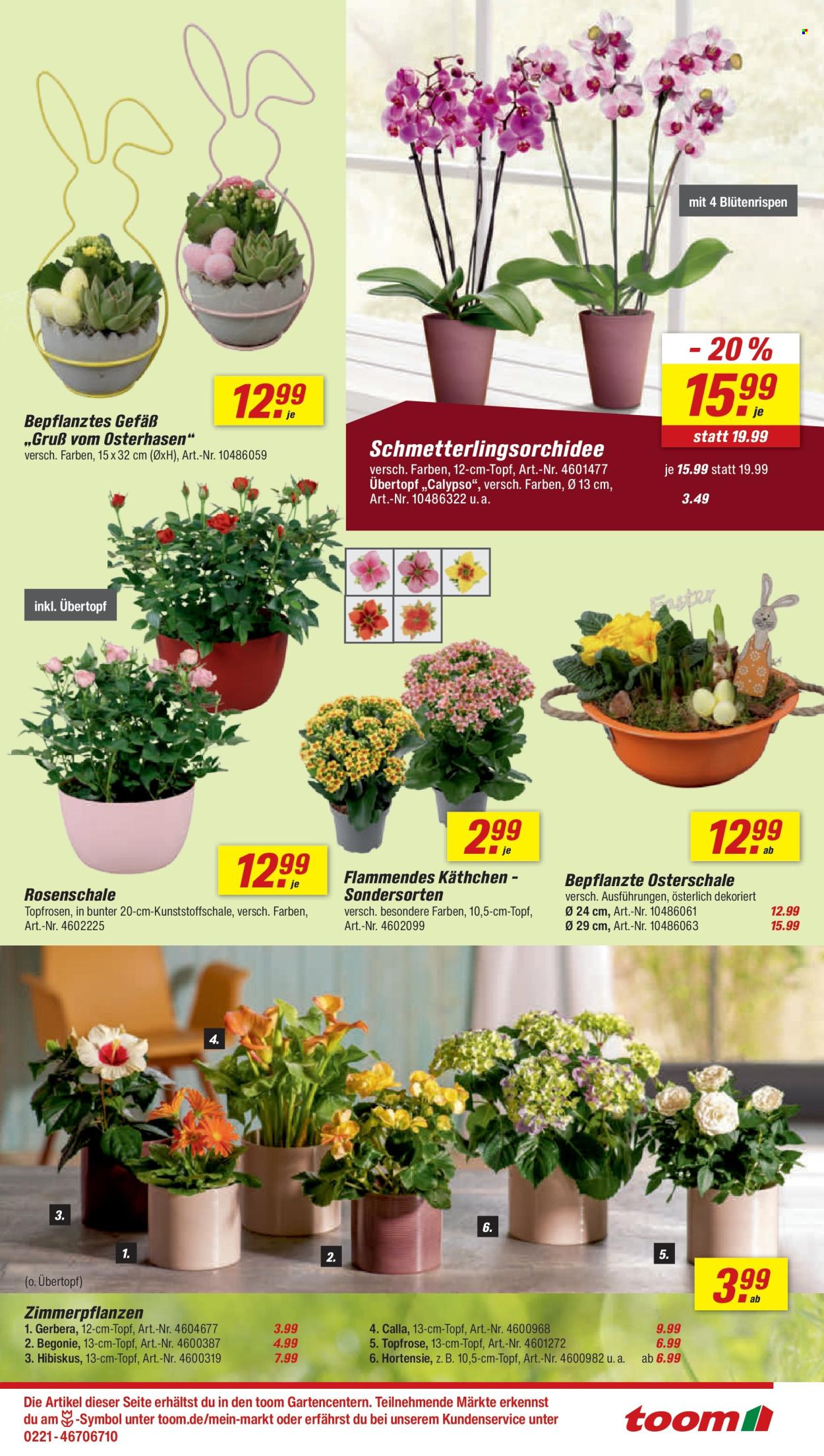 toom Baumarkt Prospekte  - 28.03.2026 - 3.04.2026. Seite 5