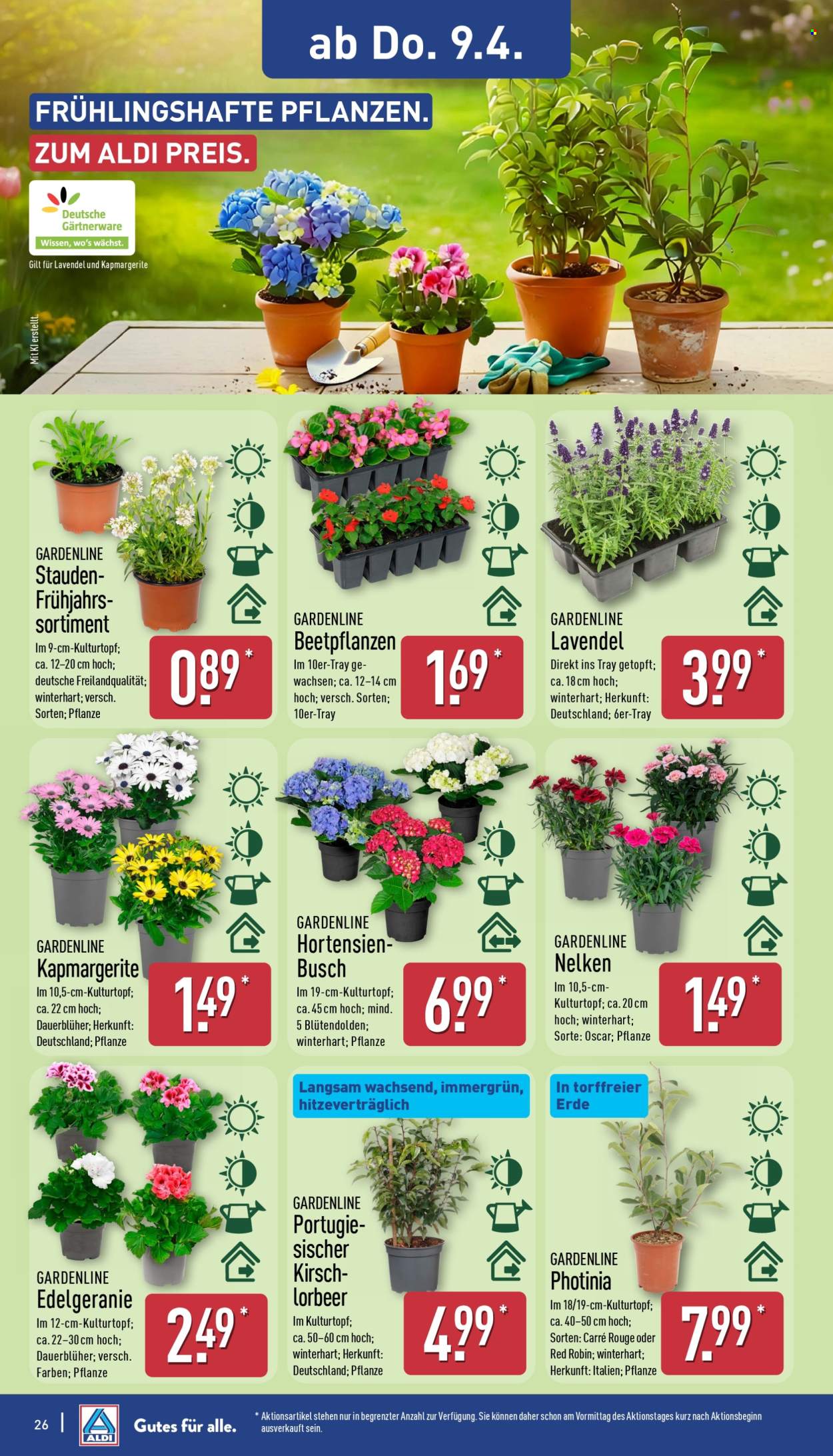 ALDI Nord Prospekte  - 7.04.2026 - 11.04.2026. Seite 26