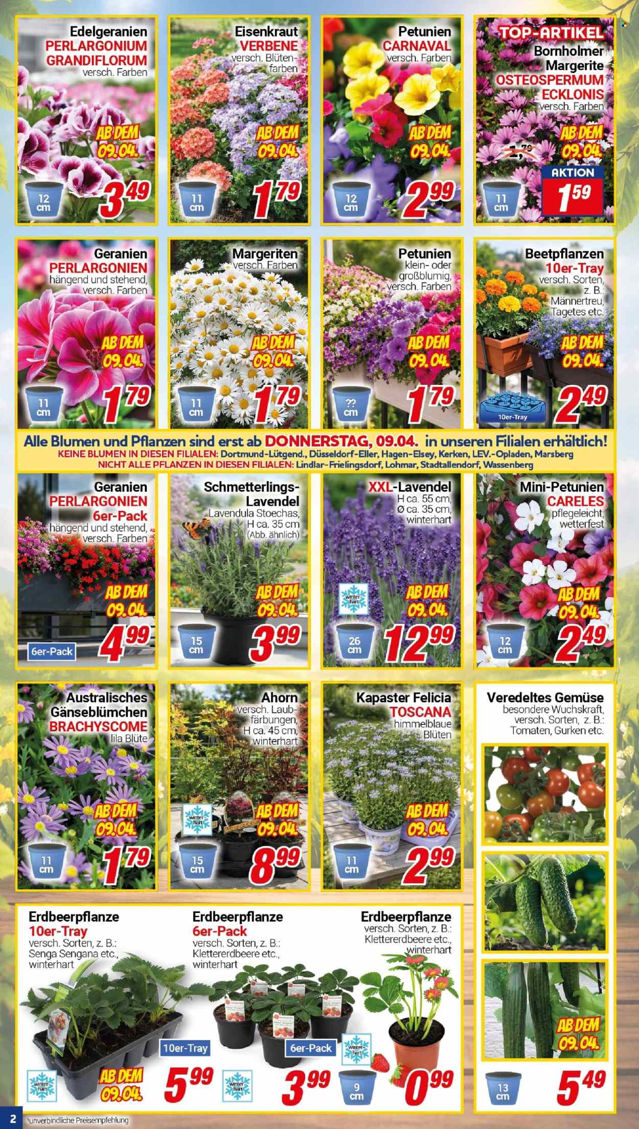 CENTERSHOP Prospekte  - 7.04.2026 - 11.04.2026. Seite 2