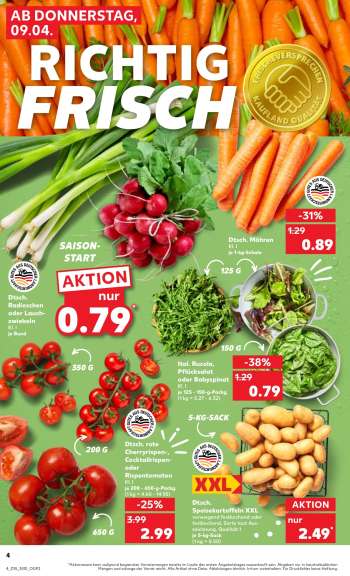 thumbnail - Ital. Rucola, Pflücksalat oder Babyspinat