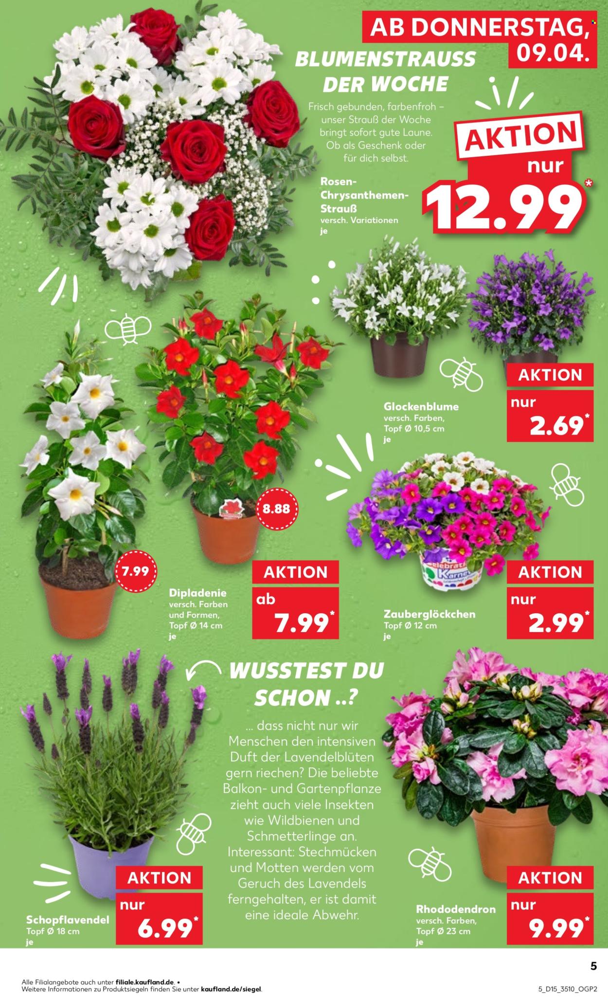 Kaufland Prospekte  - 9.04.2026 - 15.04.2026. Seite 5