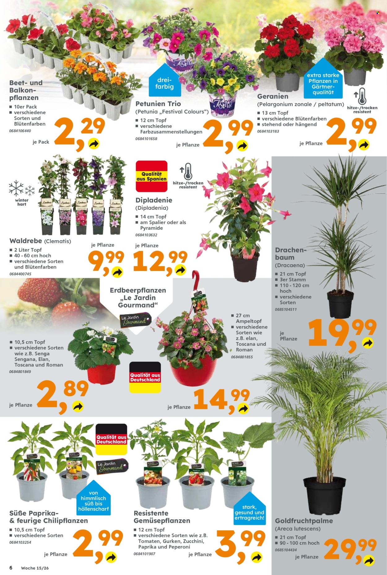 Globus Baumarkt Prospekte  - 6.04.2026 - 11.04.2026. Seite 6