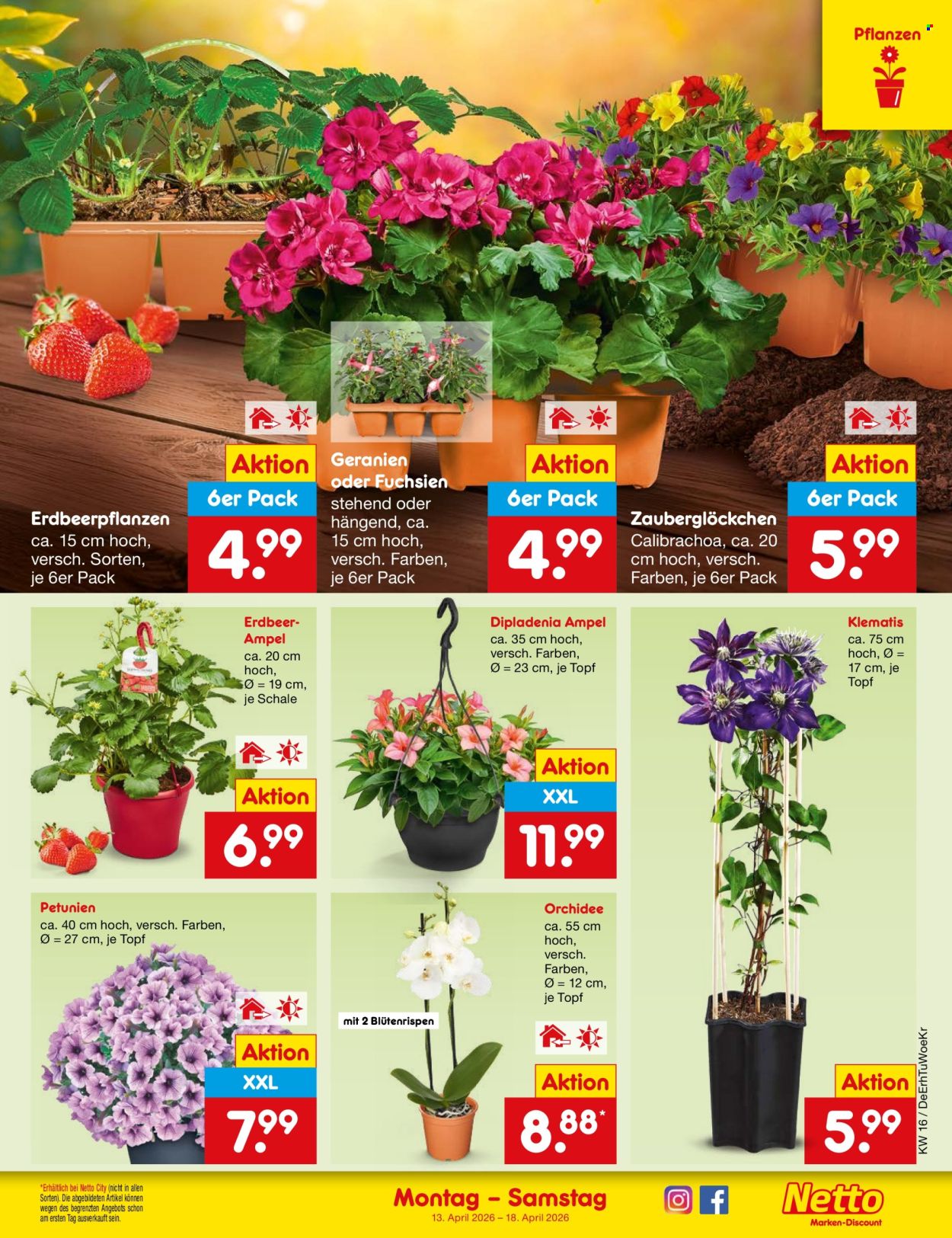 Netto Marken-Discount Prospekte  - 13.04.2026 - 18.04.2026. Seite 11