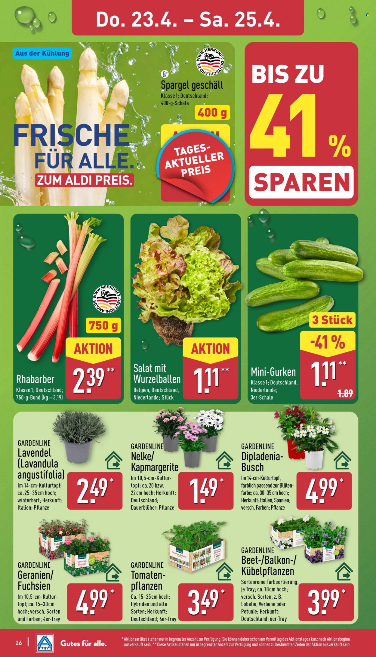 ALDI Nord Prospekte  - 20.04.2026 - 25.04.2026. Seite 26
