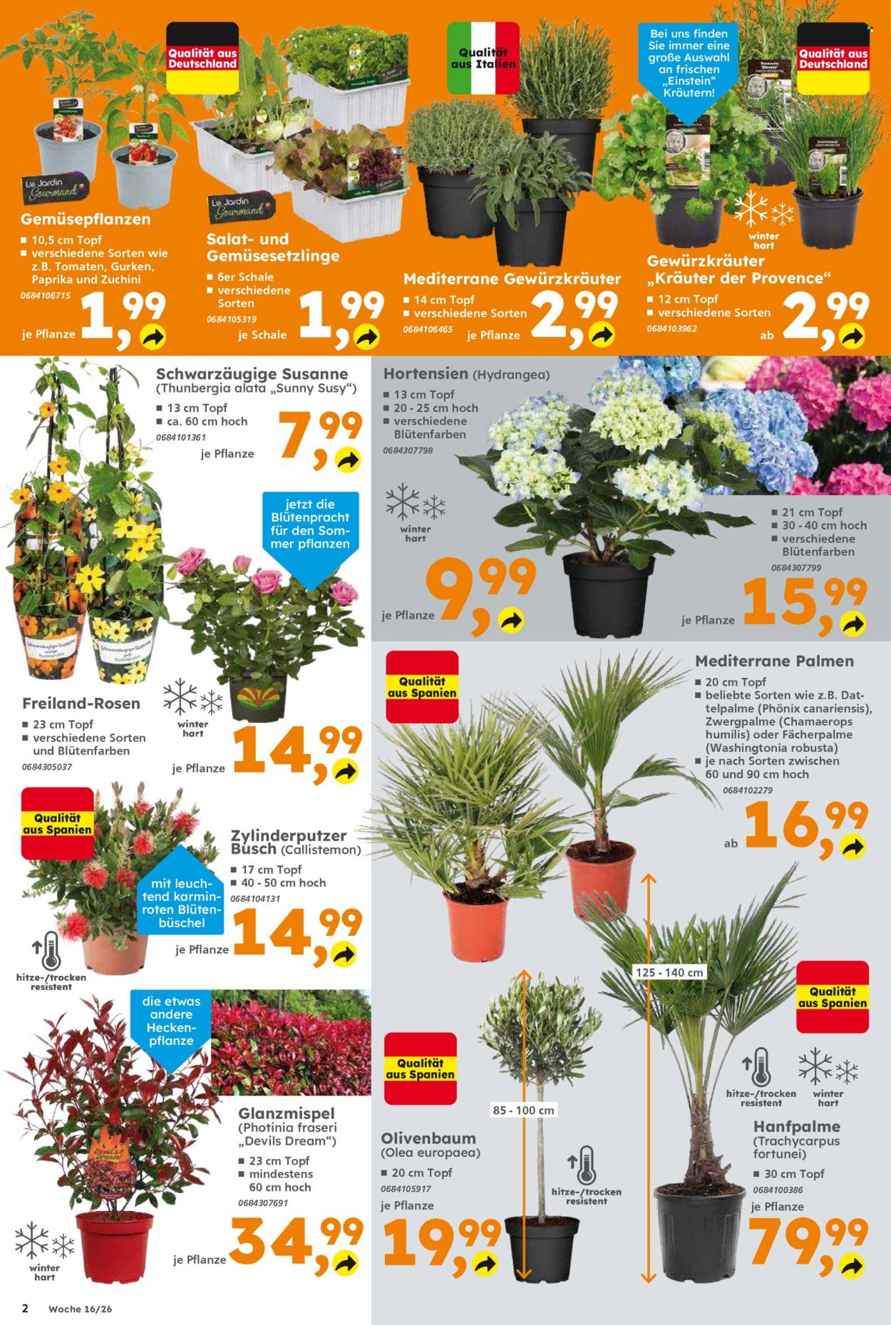 Globus Baumarkt Prospekte  - 13.04.2026 - 18.04.2026. Seite 2