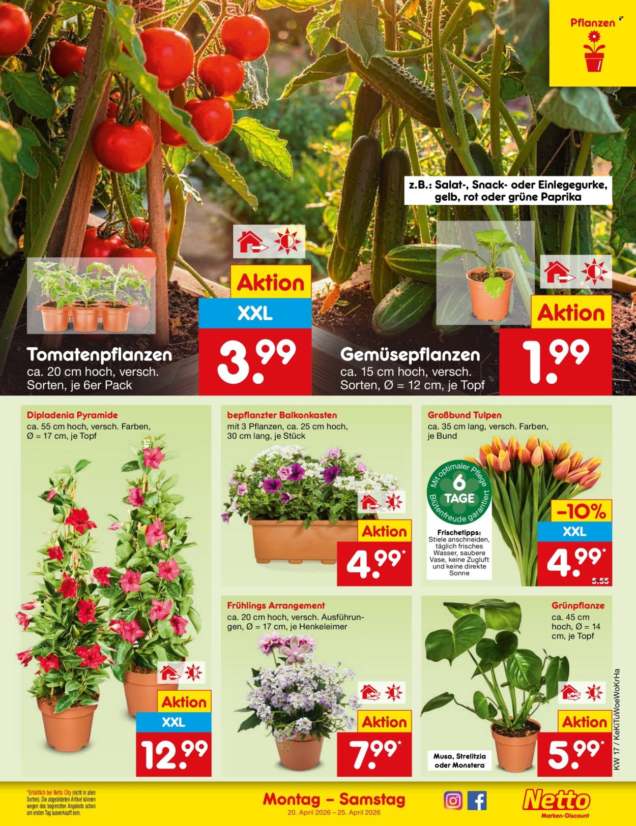 Netto Marken-Discount Prospekte  - 20.04.2026 - 25.04.2026. Seite 9